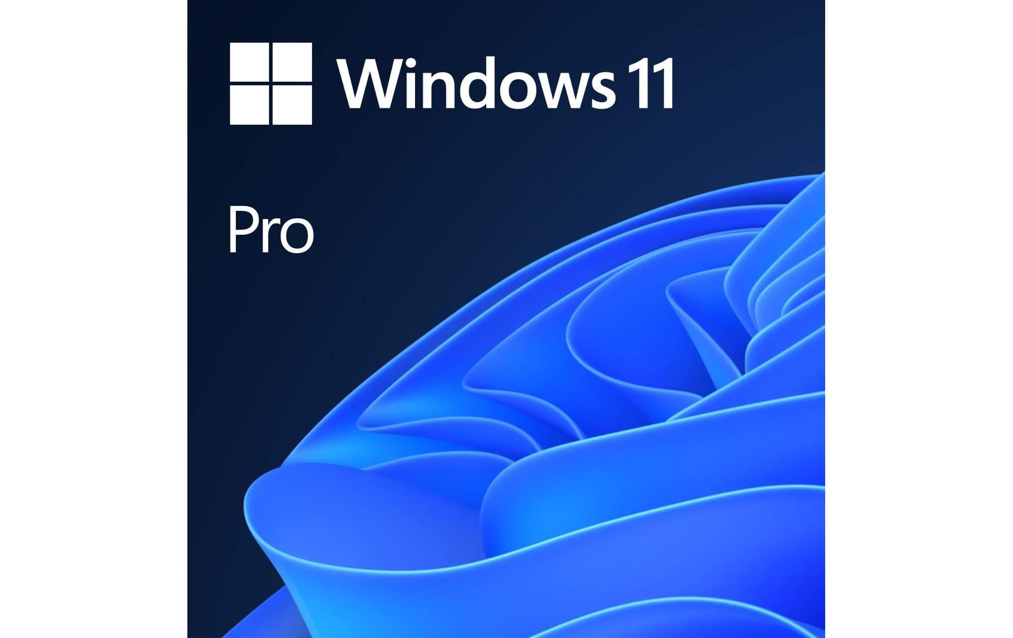 Microsoft Windows 11 Pro Vollprodukt, OEM, Englisch