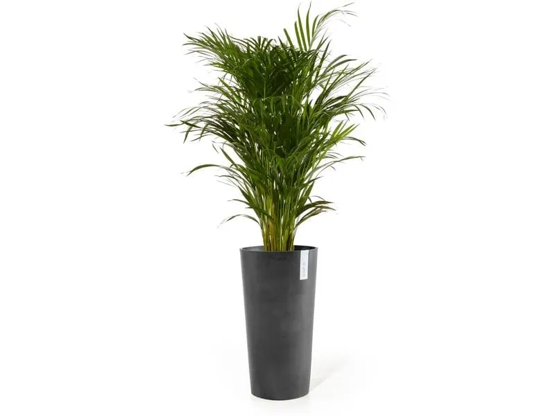 Ecopots Blumentopf Amsterdam High Ø 76 cm Grau Ecopots Blumentopf Amsterdam High Ø 76 cm Grau