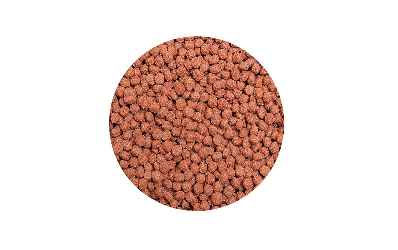 Kobre®San Fischfutter Pond Fish, 2 mm, 1 kg Kobre®San Fischfutter Pond Fish, 2 mm, 1 kg