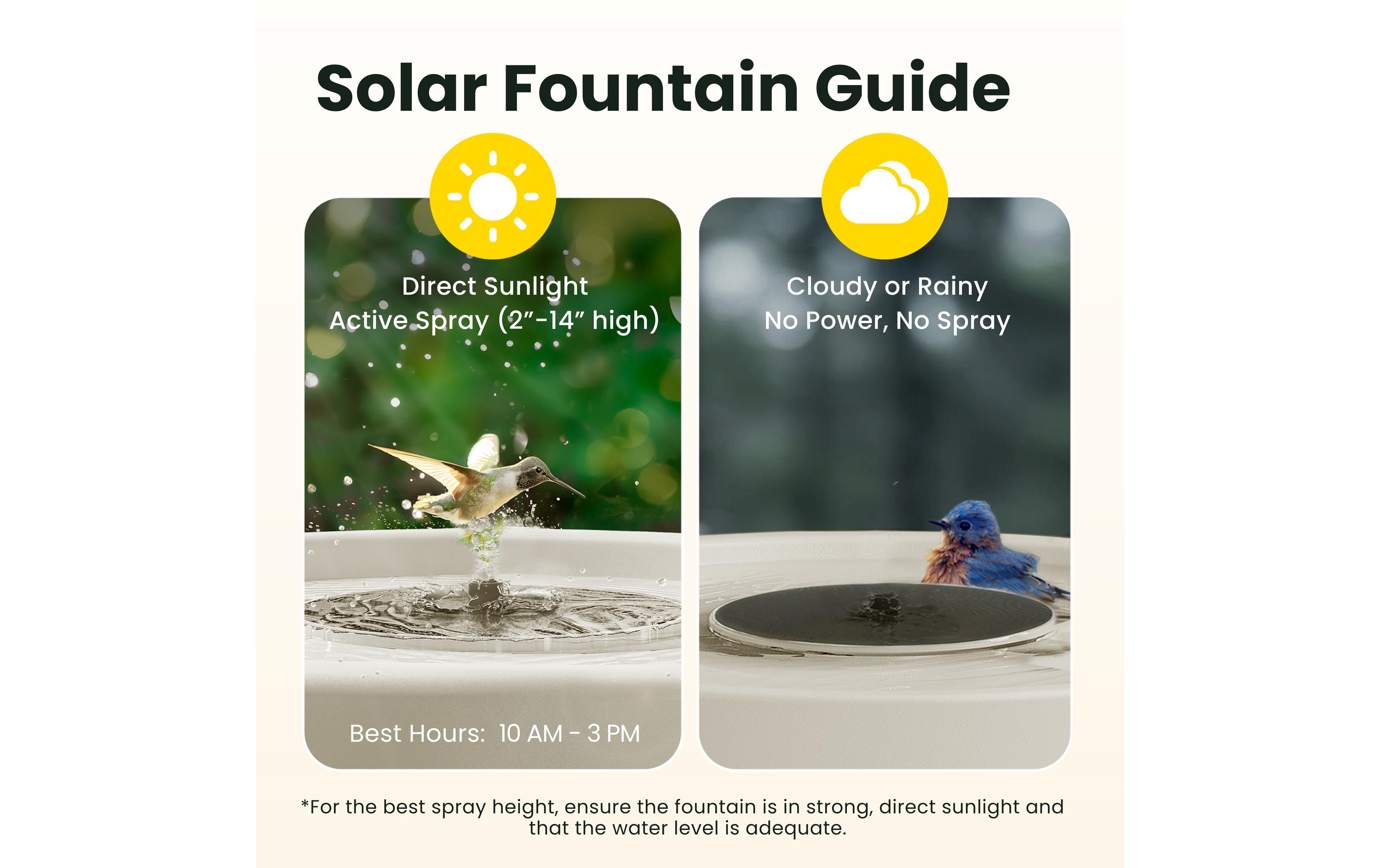 Birdfy Intelligentes Vogelbad mit Kamera