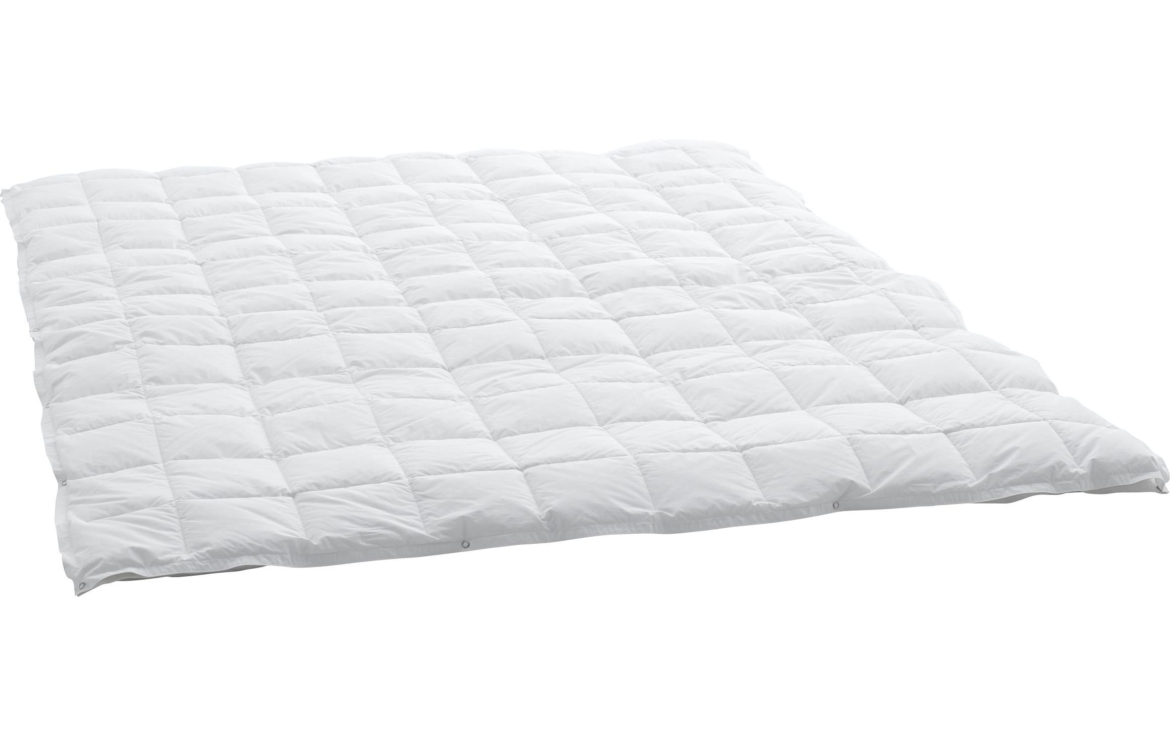 Swiss Dream by Billerbeck Duvet Caro Basic 90 160 x 210 cm