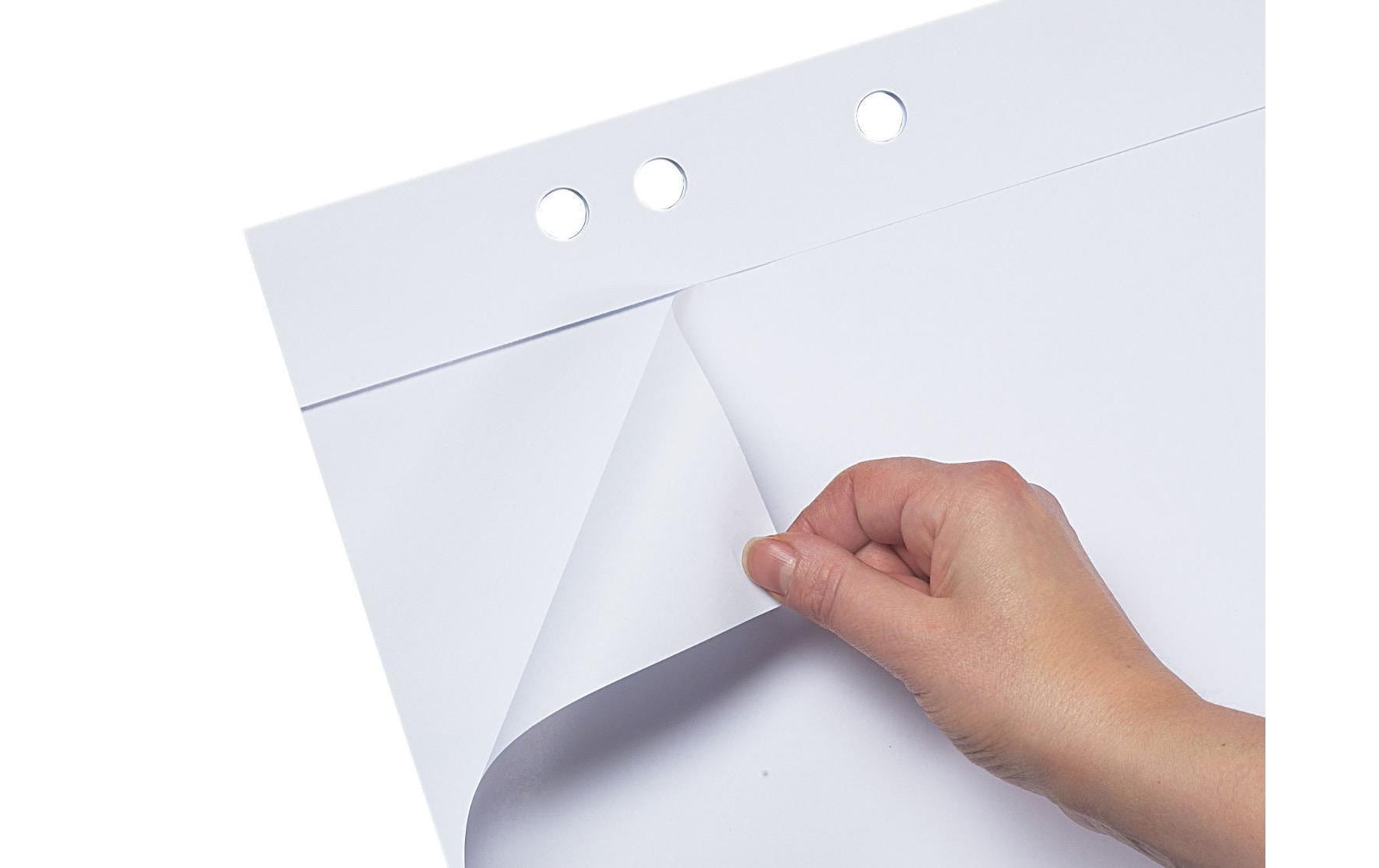 Bi-Office Flipchart 65 x 98 cm Earth Bi-Office Flipchart 65 x 98 cm Earth