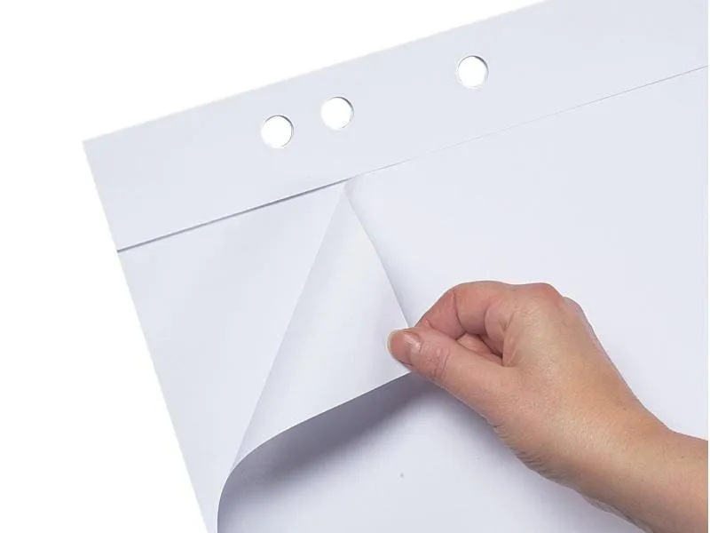 Bi-Office Flipchart 65 x 98 cm Earth Bi-Office Flipchart 65 x 98 cm Earth