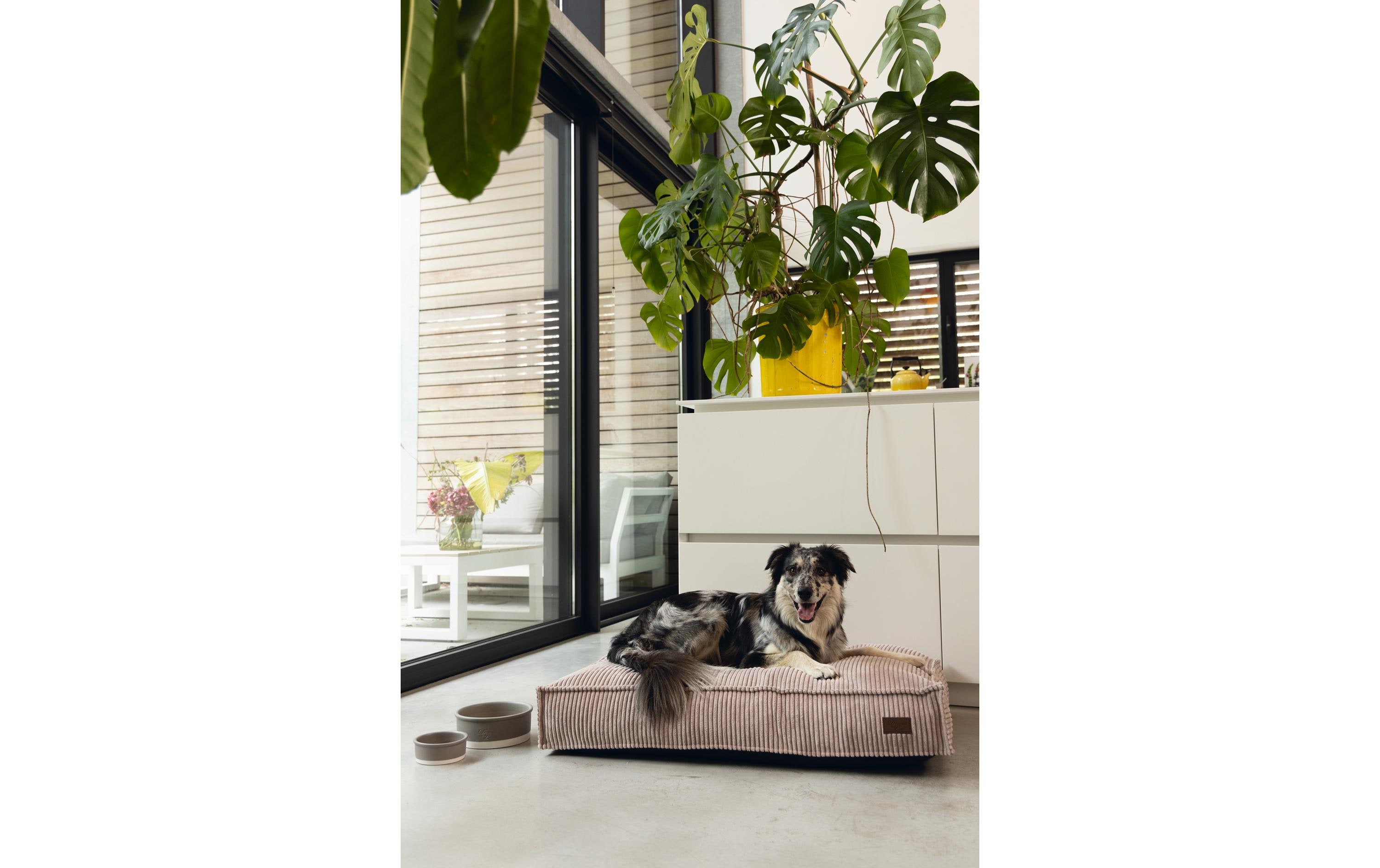 Designed by Lotte Hunde-Bett Ribbed Rosa 100x70x15cm Designed by Lotte Hunde-Bett Ribbed Rosa 100x70x15cm