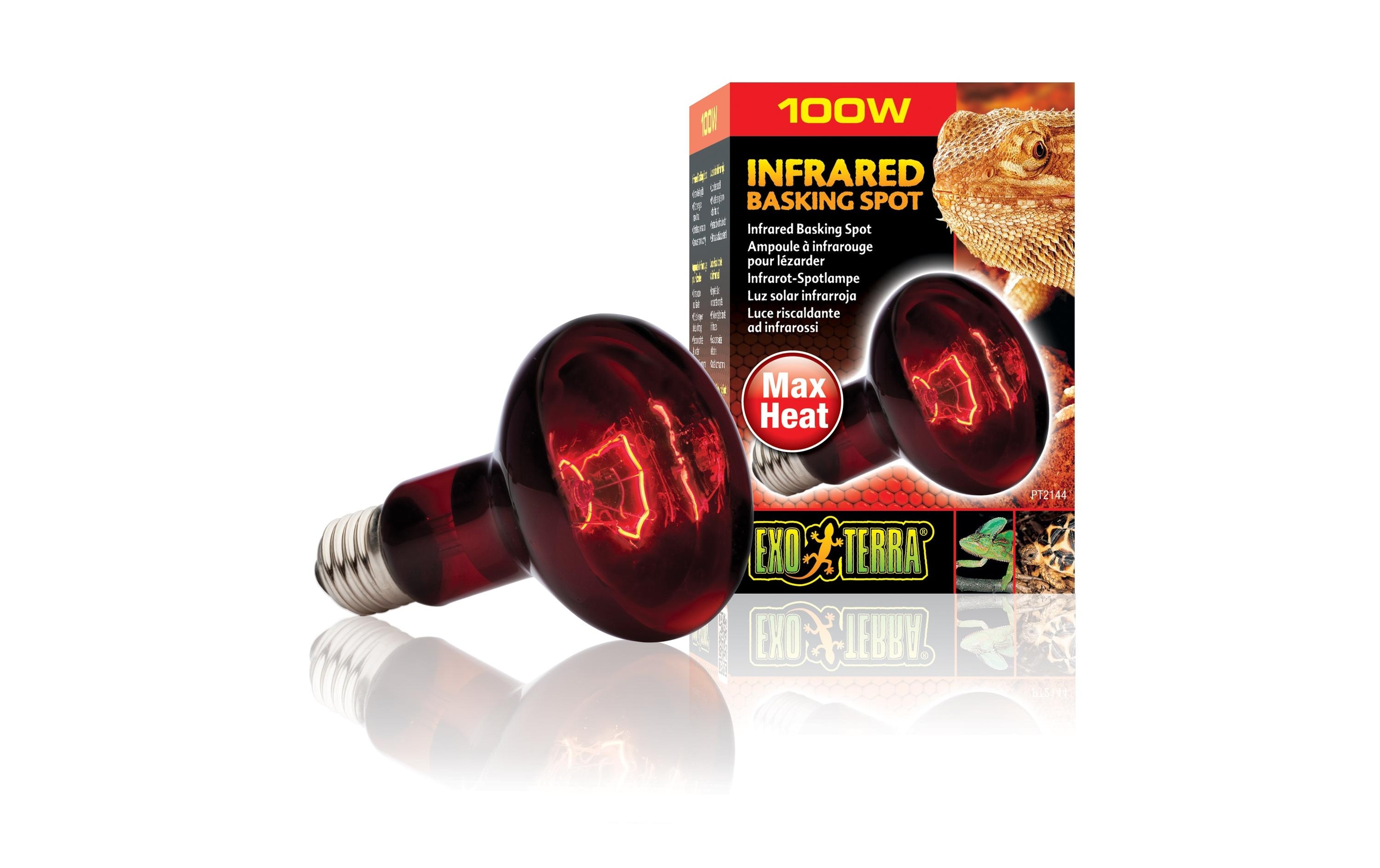 Exo Terra Terrarienlampe Infrared Basking Spot E27, R25/100W