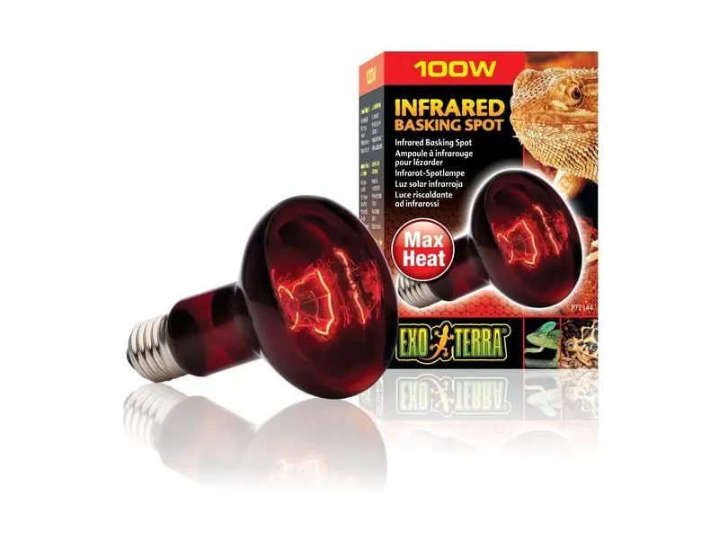 Exo Terra Terrarienlampe Infrared Basking Spot E27, R25/100W
