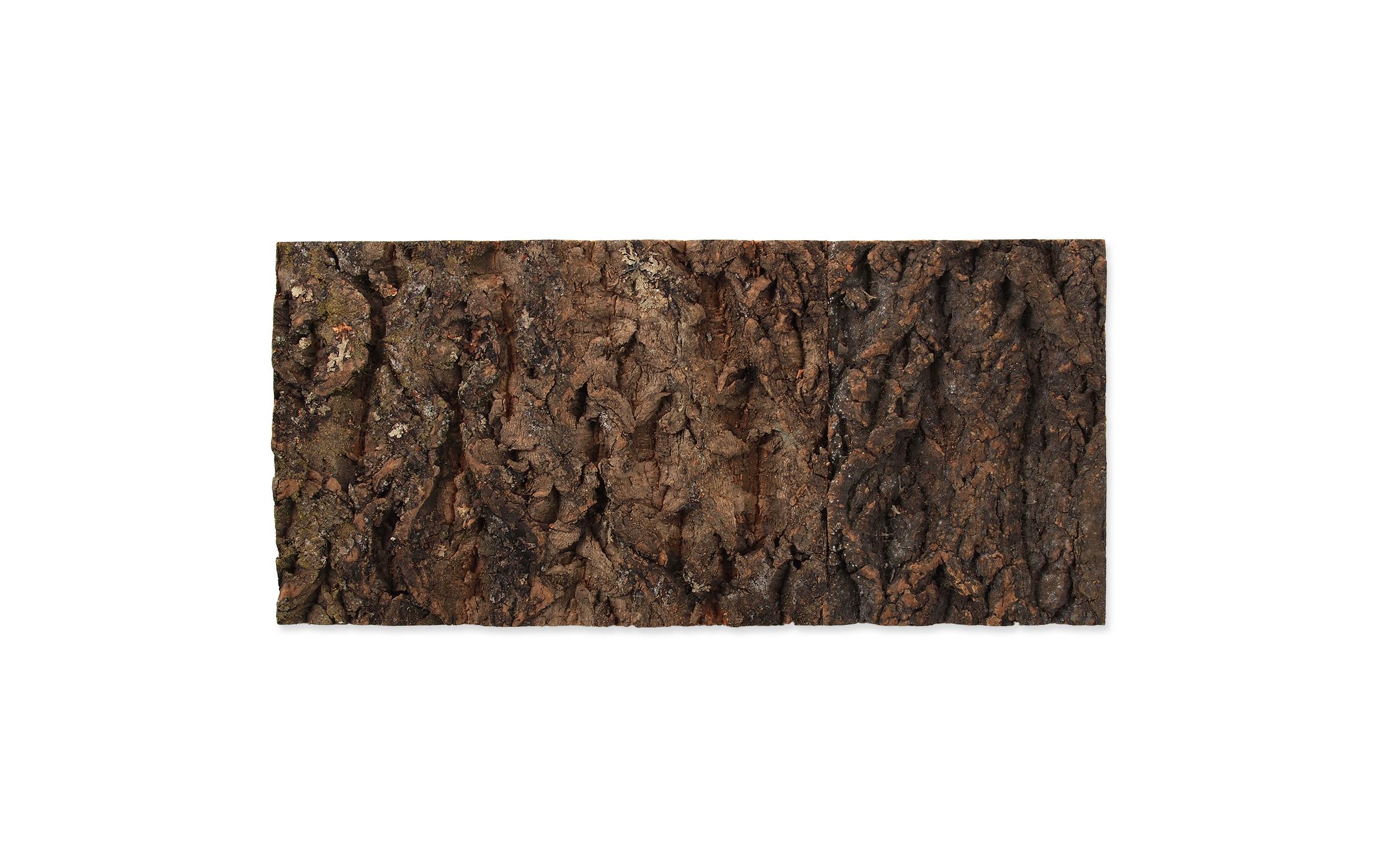 Repti Planet Kork-Rück Wand 48.8 x 22.7 x 2 cm
