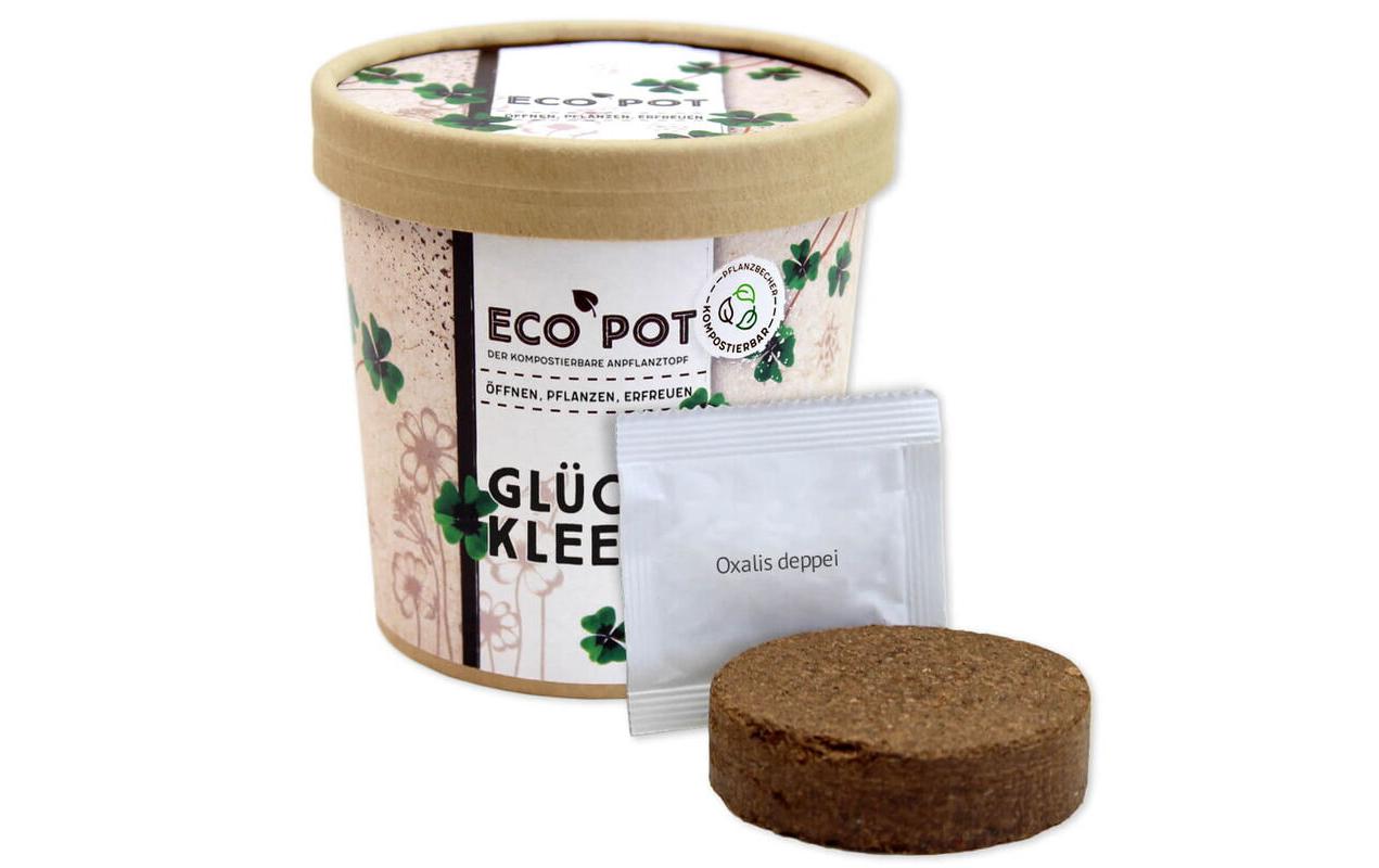 Feel Green EcoPot Glücksklee