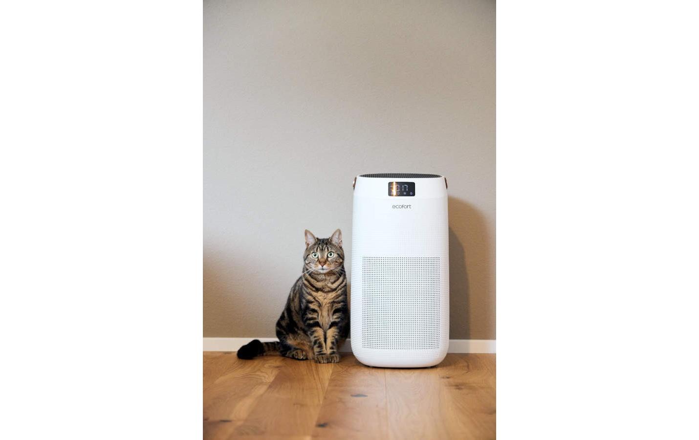 Ecofort Luftreiniger ecoQ CleanAir 400+ 80 m²