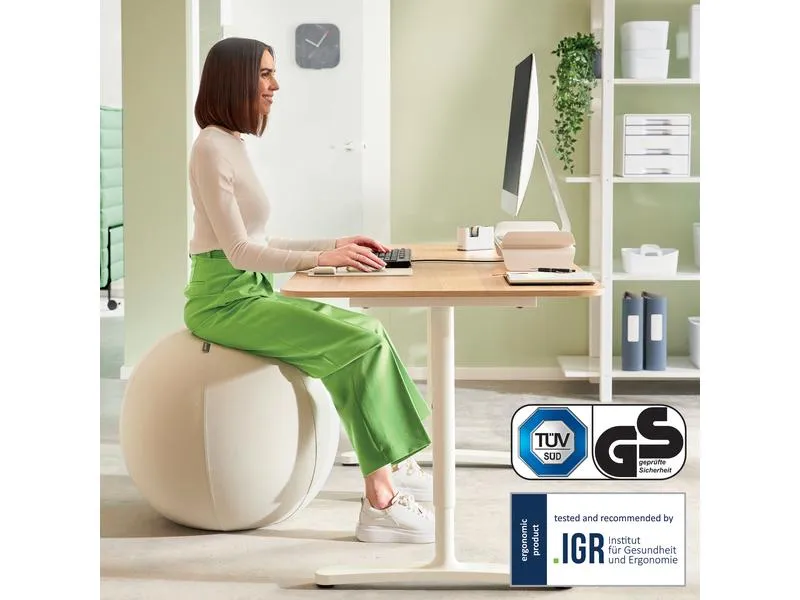 Leitz Sitzball Ergo Active 55 cm Leitz Sitzball Ergo Active 55 cm