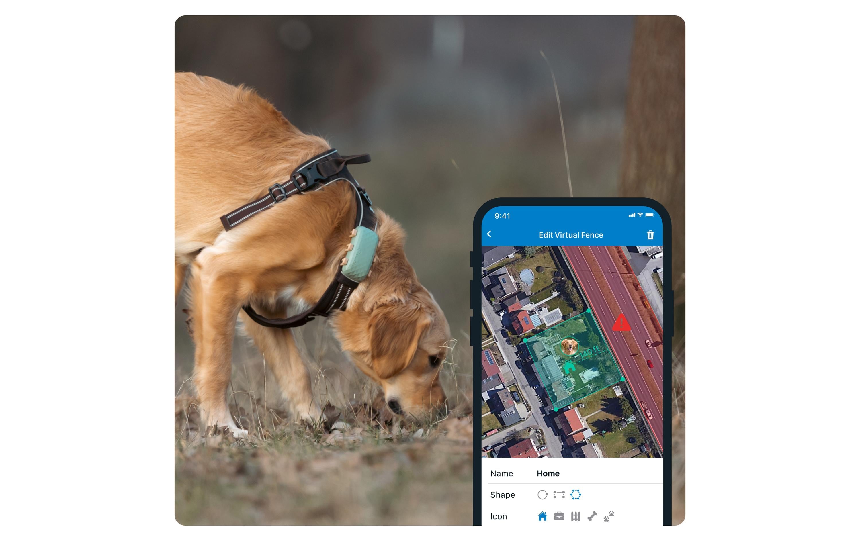 tractive GPS-Tracker DOG XL, Grün