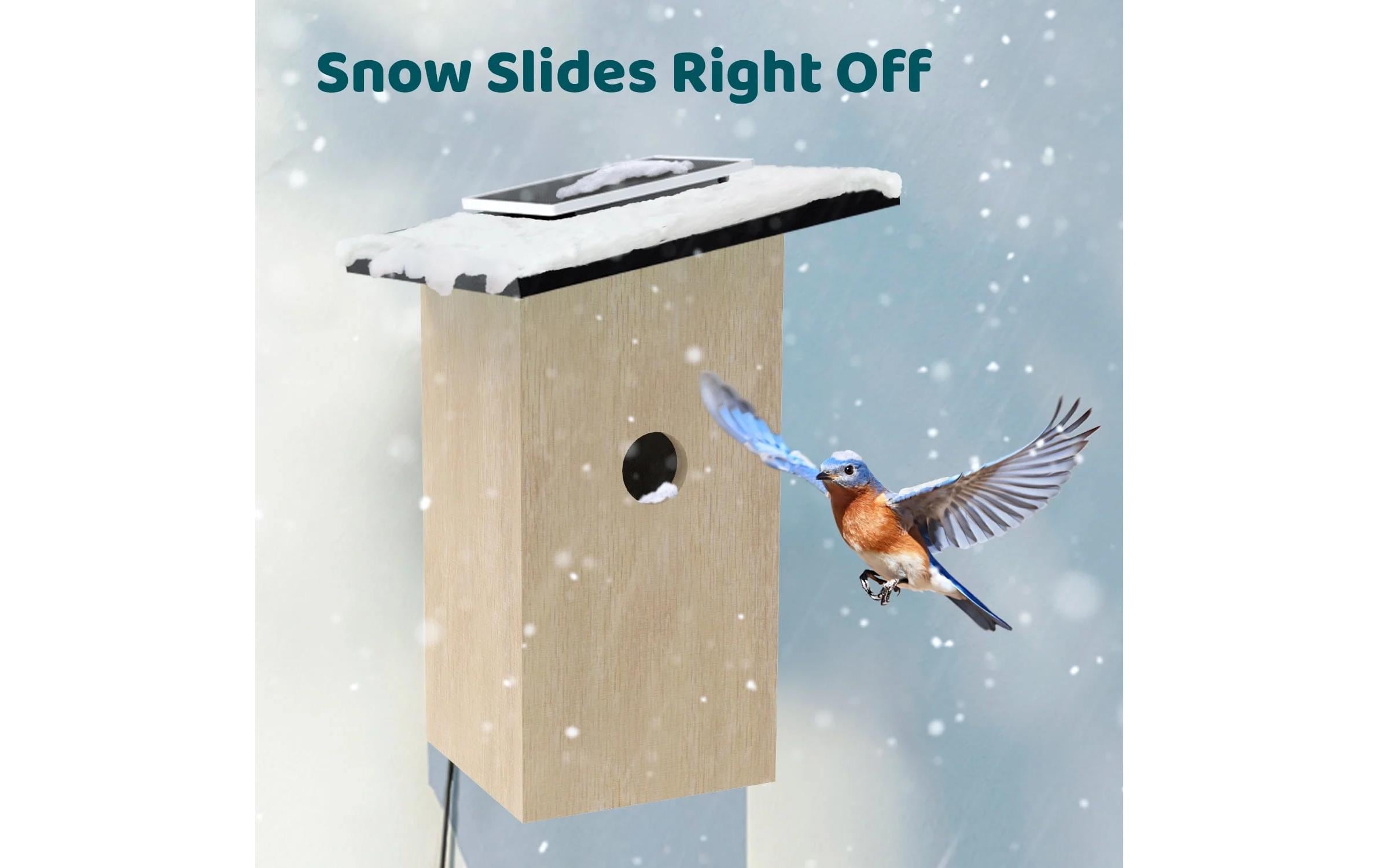 Birdfy Vogelhaus Nistkasten mit Kamera und Solar