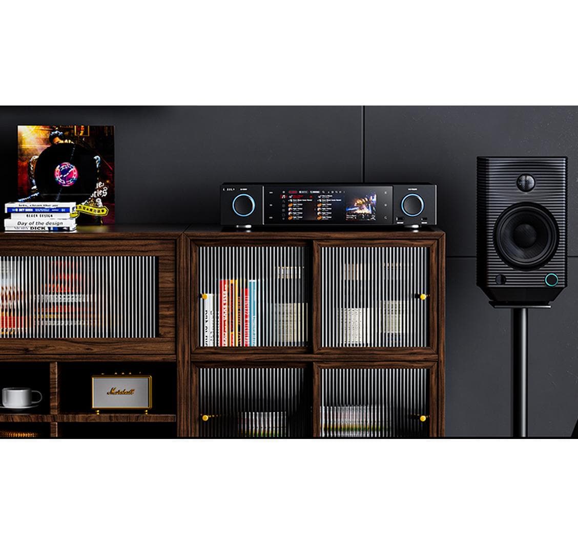 FiiO FiiO S15 Schwarz HiFi-Musik-Streamer Schwarz FiiO FiiO S15 Schwarz HiFi-Musik-Streamer Schwarz