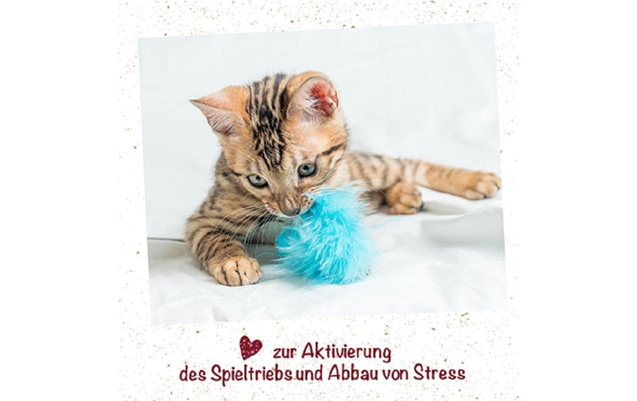 cdVet feliTATZ KatzenMinze Spray, 50 ml cdVet feliTATZ KatzenMinze Spray, 50 ml