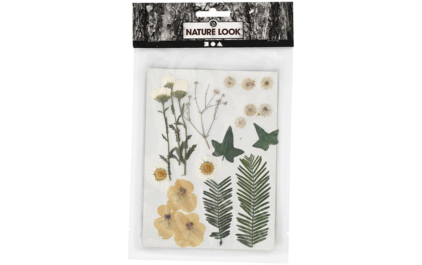 Creativ Company Streudeko Gepresste Blüten und Blätter, Gelb, 19 sort.