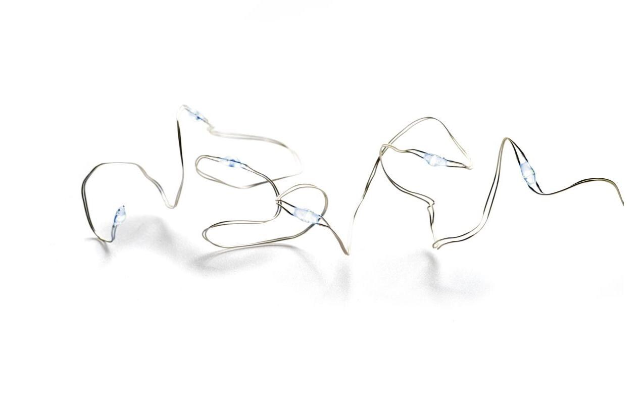 STT LED Lichterkette Angel Hair Battery String 50 Kaltweiss