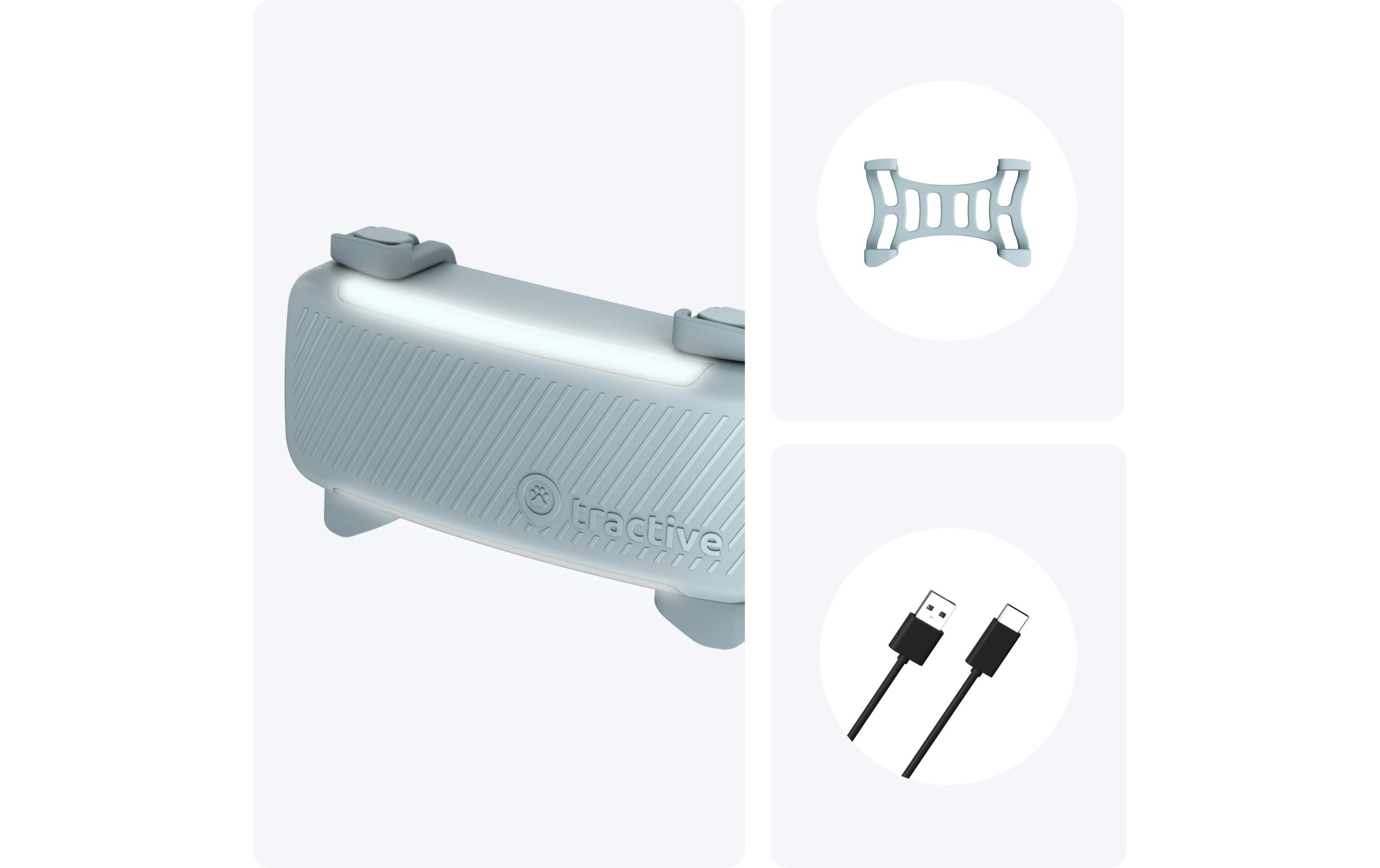 tractive GPS-Tracker DOG 6 Mint