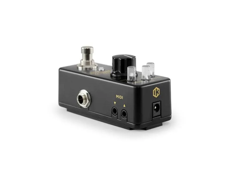 IK Multimedia Pedal ToneX One