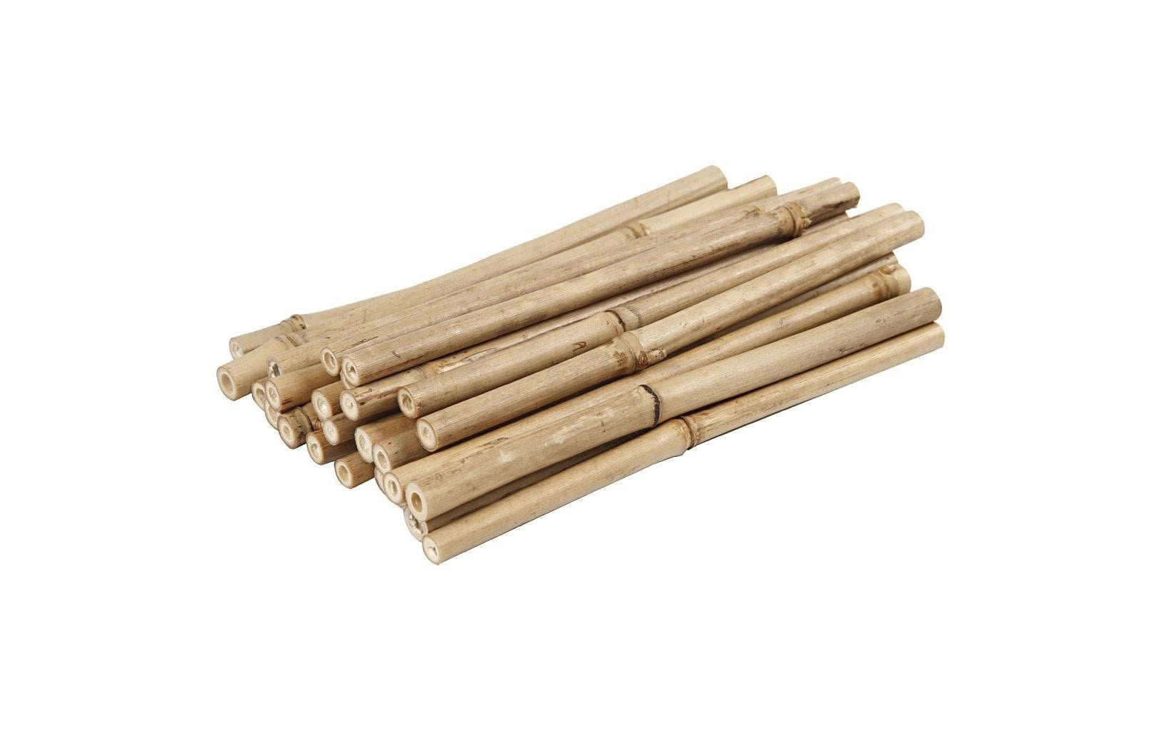 Creativ Company Naturmaterialien Bambusstock 30 Stück Creativ Company Naturmaterialien Bambusstock 30 Stück