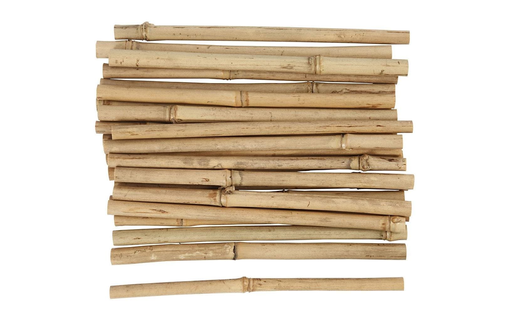 Creativ Company Naturmaterialien Bambusstock 30 Stück Creativ Company Naturmaterialien Bambusstock 30 Stück