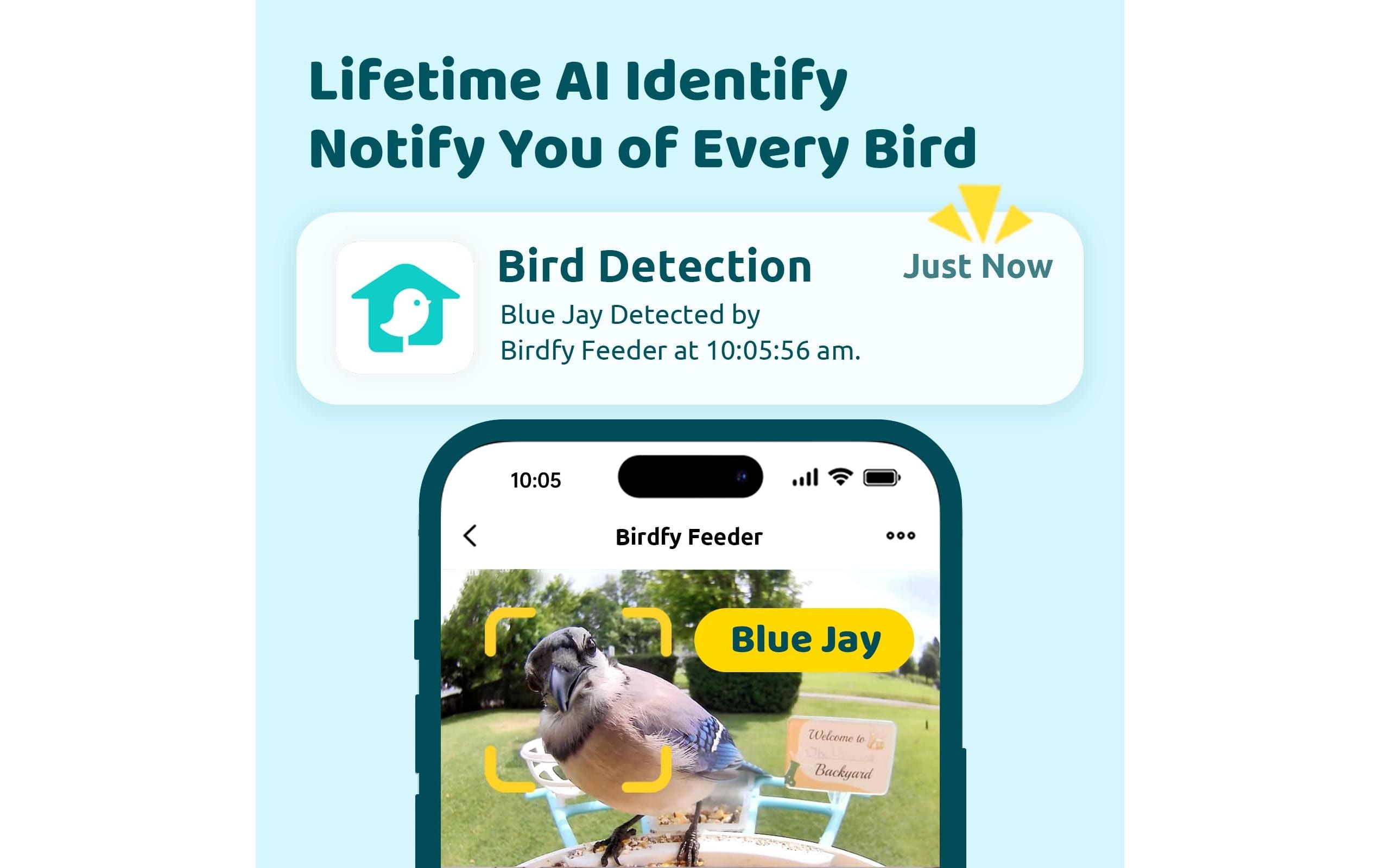 Birdfy Futterspender Basic Solar
