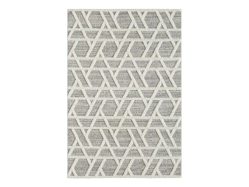 Conceptum Hypnose Teppich Sevilla 5508 120 cm x 180 cm, Grau