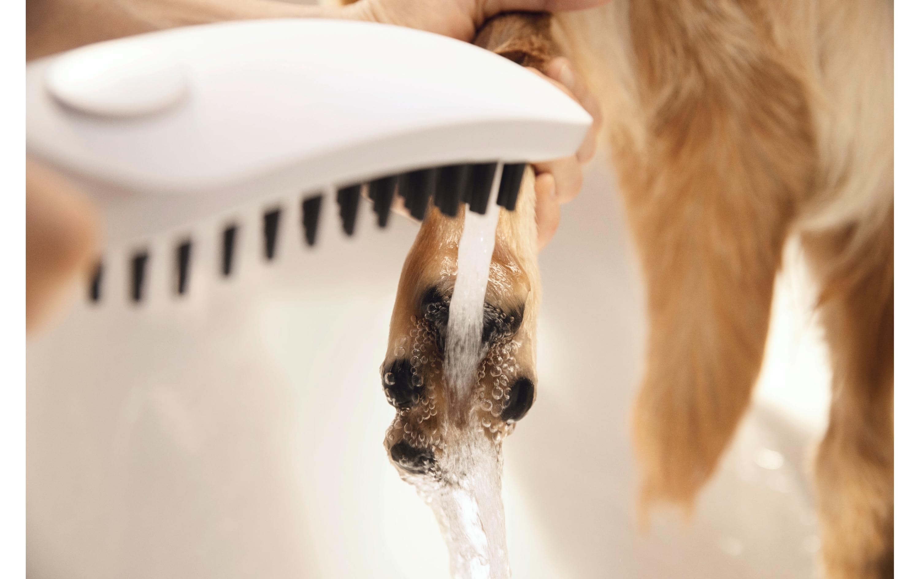 hansgrohe Handbrause DogShower, Weiss matt