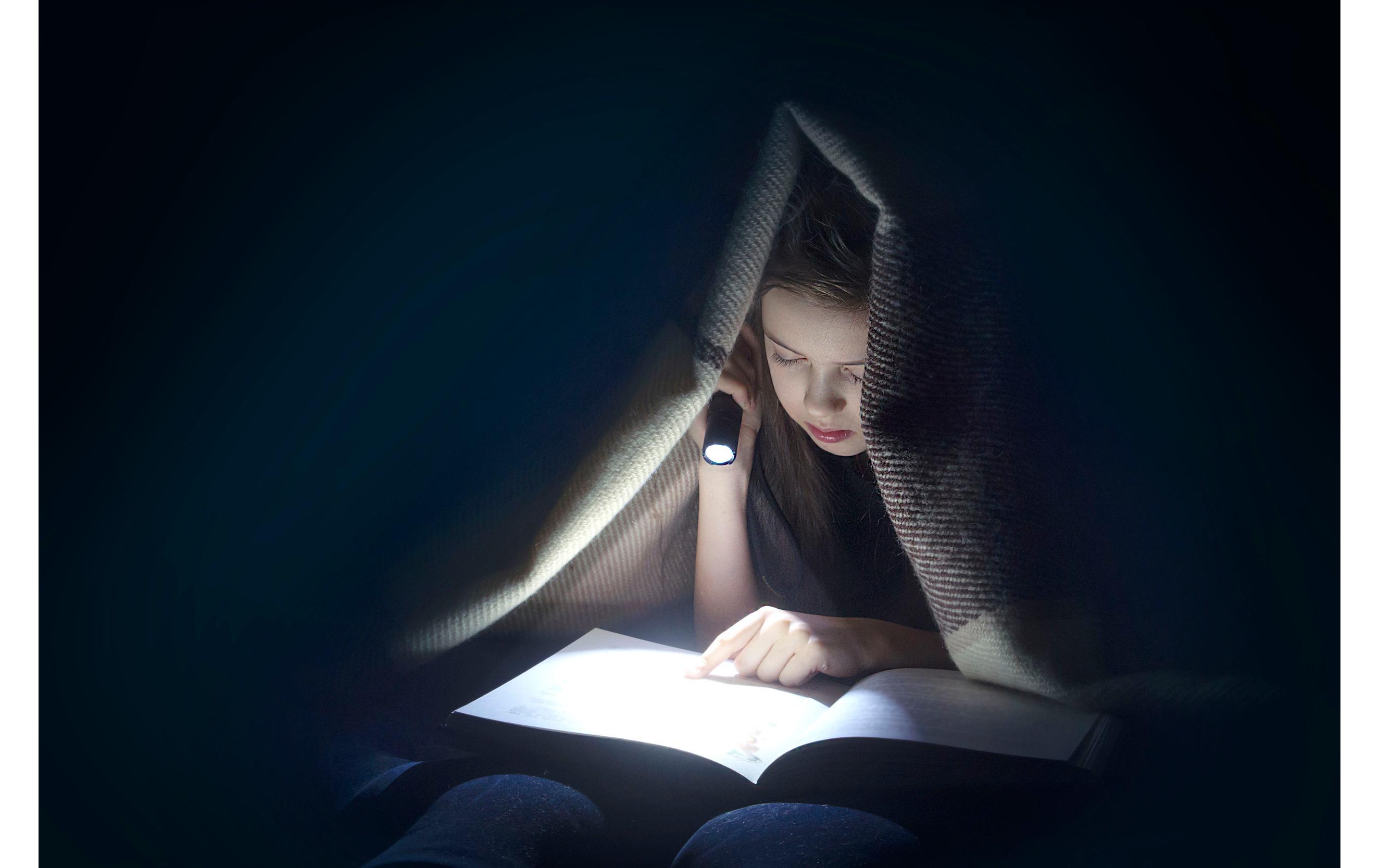 Ansmann Taschenlampe Daily Use 150B