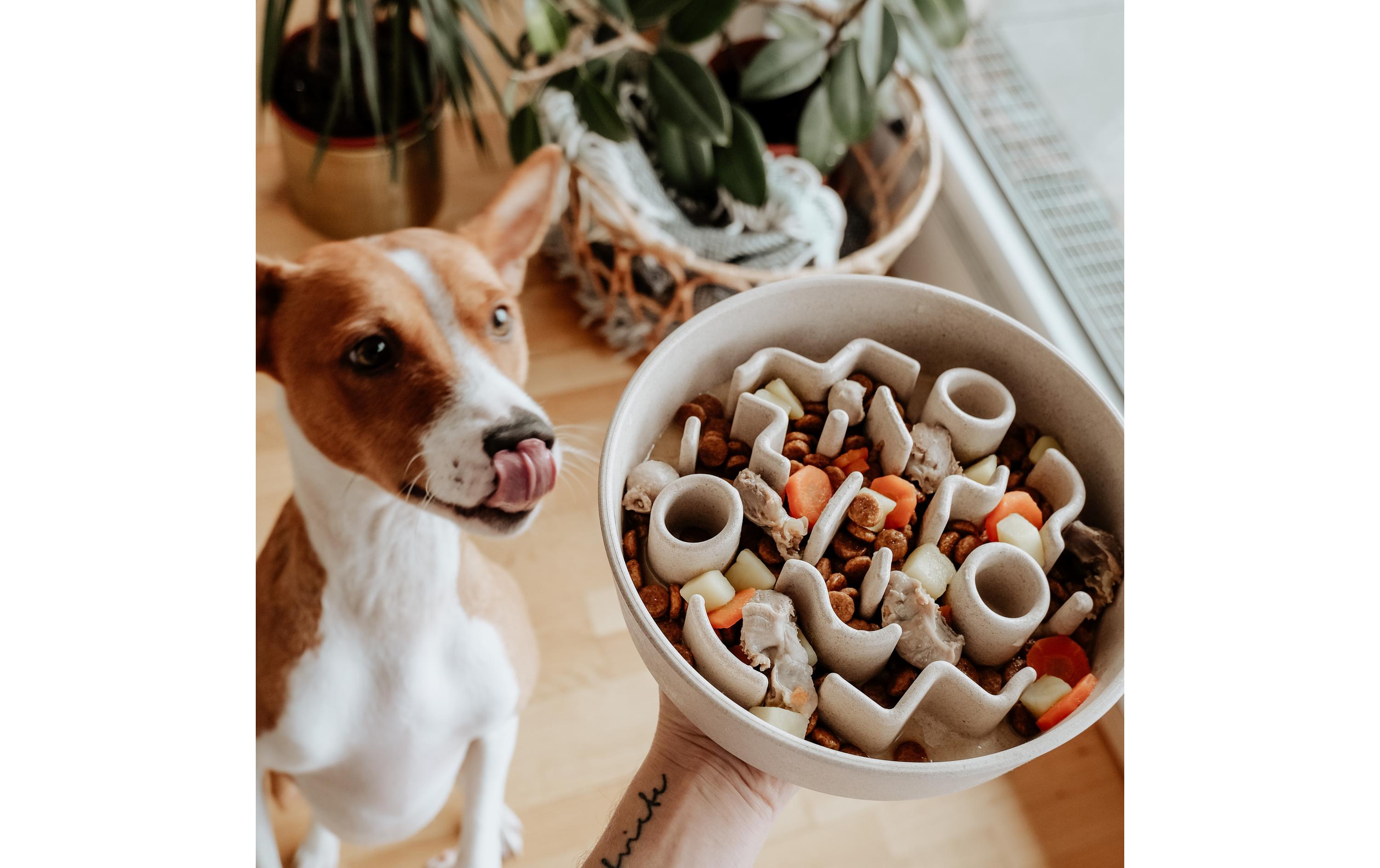 District 70 Bambusnapf Bamboo Dog Slow Feeder Ø 28 cm, Creme-Weiss