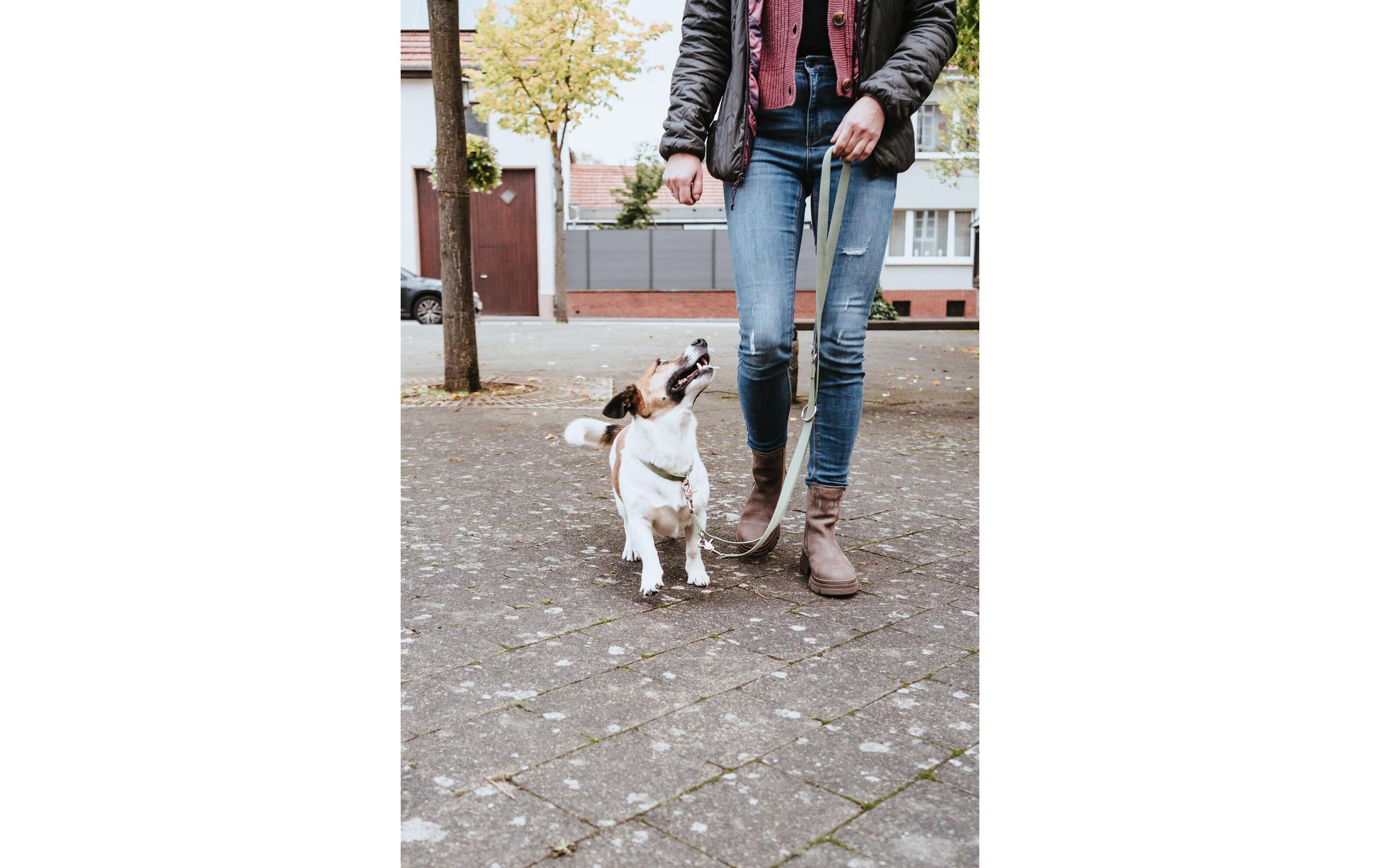 Hunter Verstellbare Führleine Inari, 20/200, Lindgrün