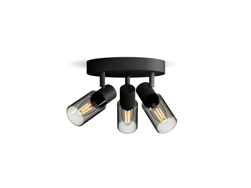 Philips Aufbauspot Palms für E14, rund Schwarz, ohne Leuchtmittel Philips Aufbauspot Palms für E14, rund Schwarz, ohne Leuchtmittel