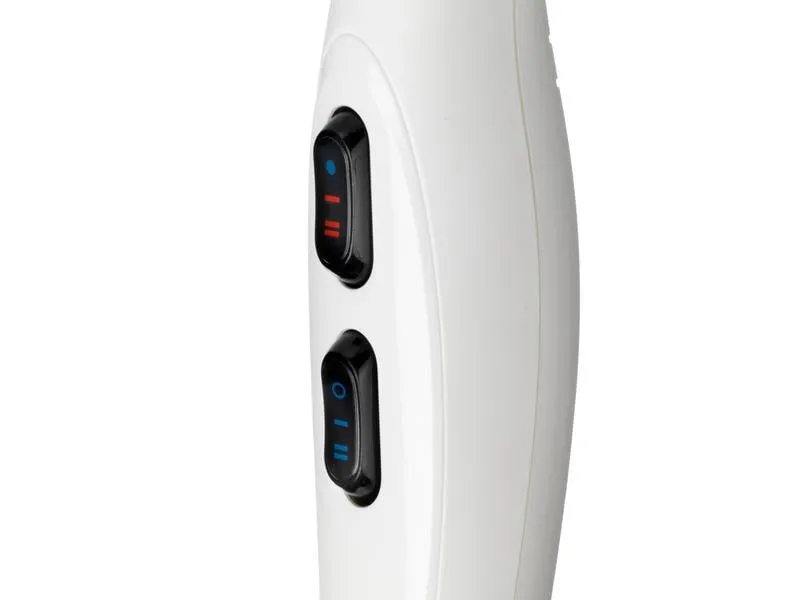 Babyliss Haartrockner Speed Pro 6704WCHE