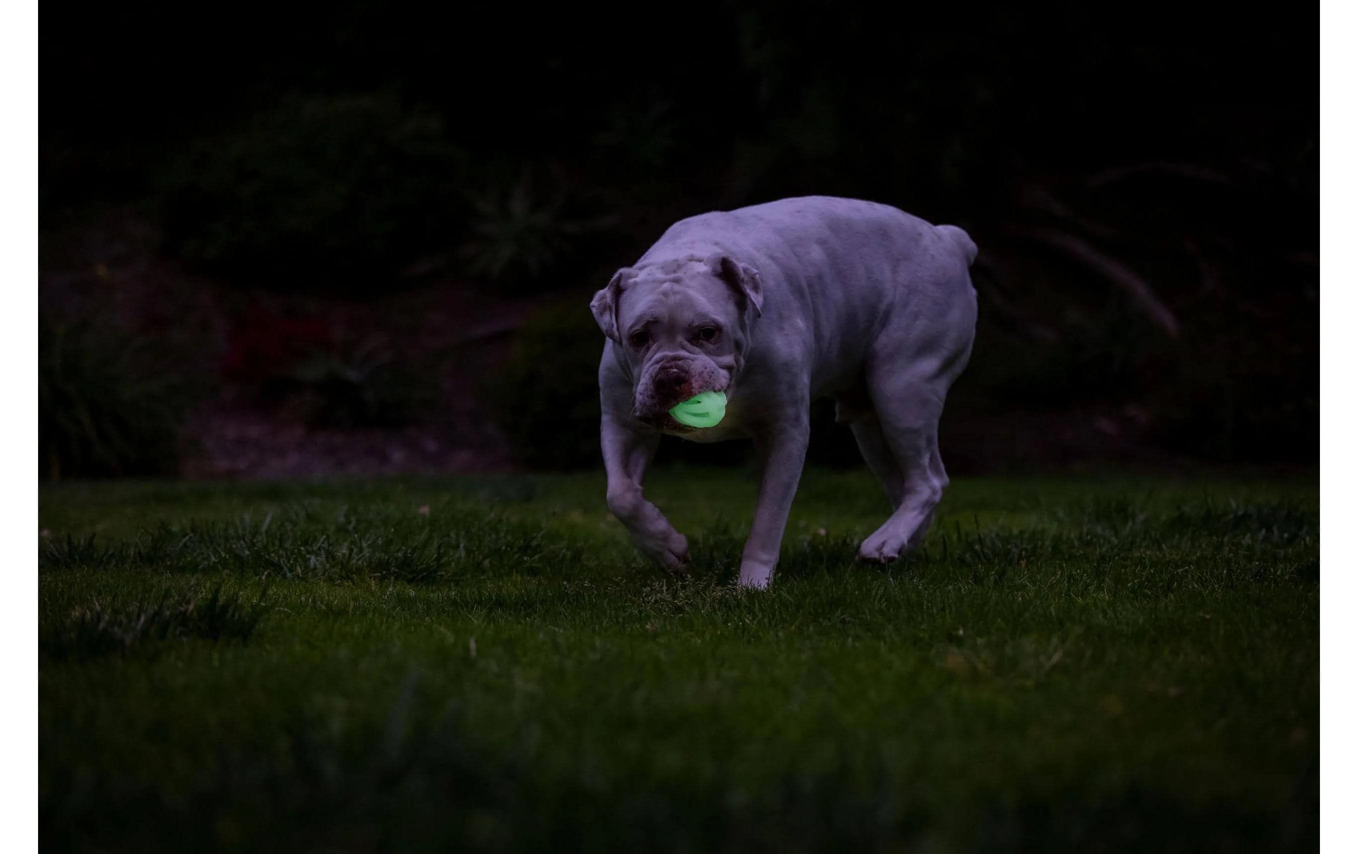 Chuckit! Leuchtball Max Glow Air Fetch Grösse M, 2 Stück