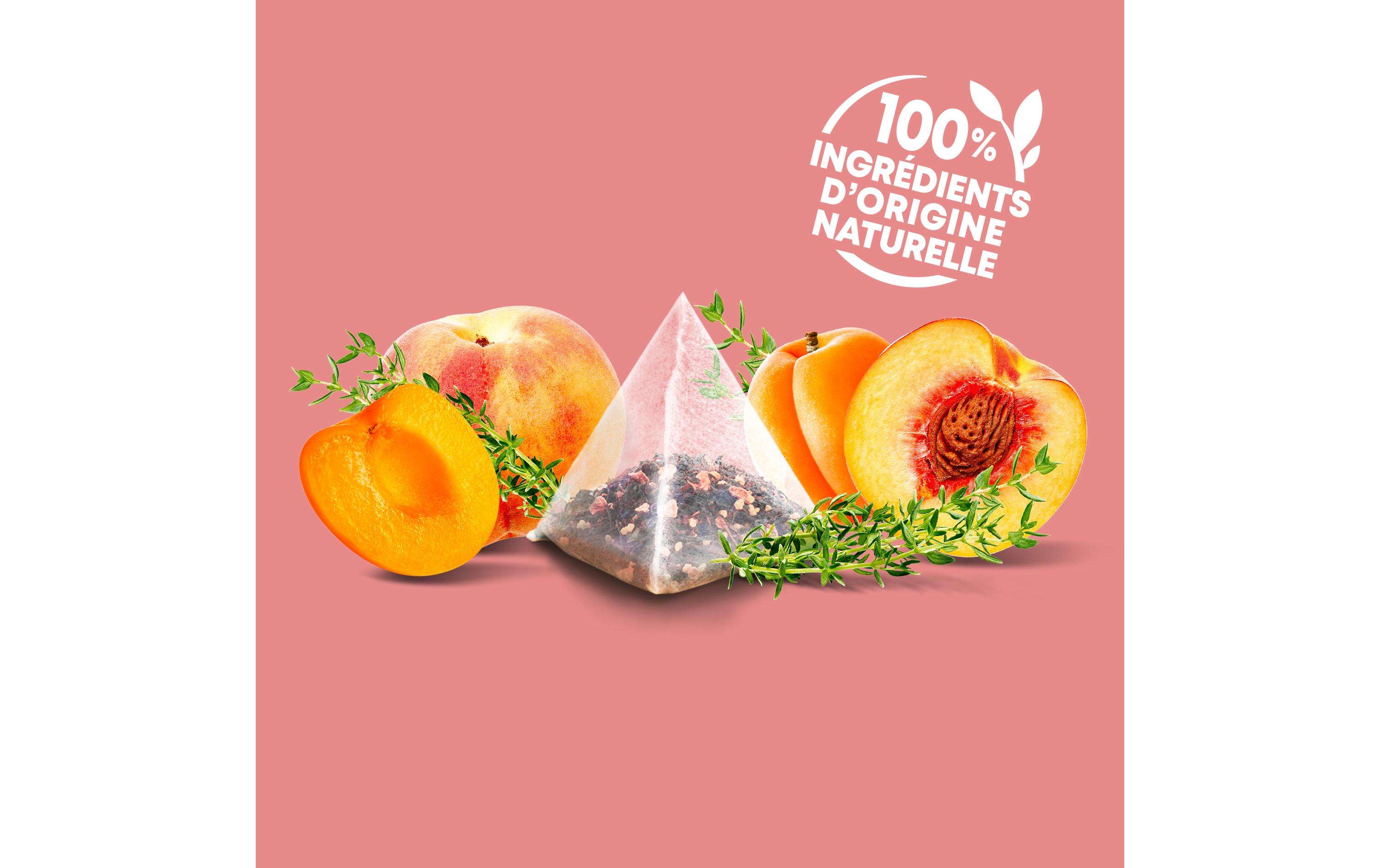 Eléphant Teebeutel Infusion Péche Abricot 20 Stück