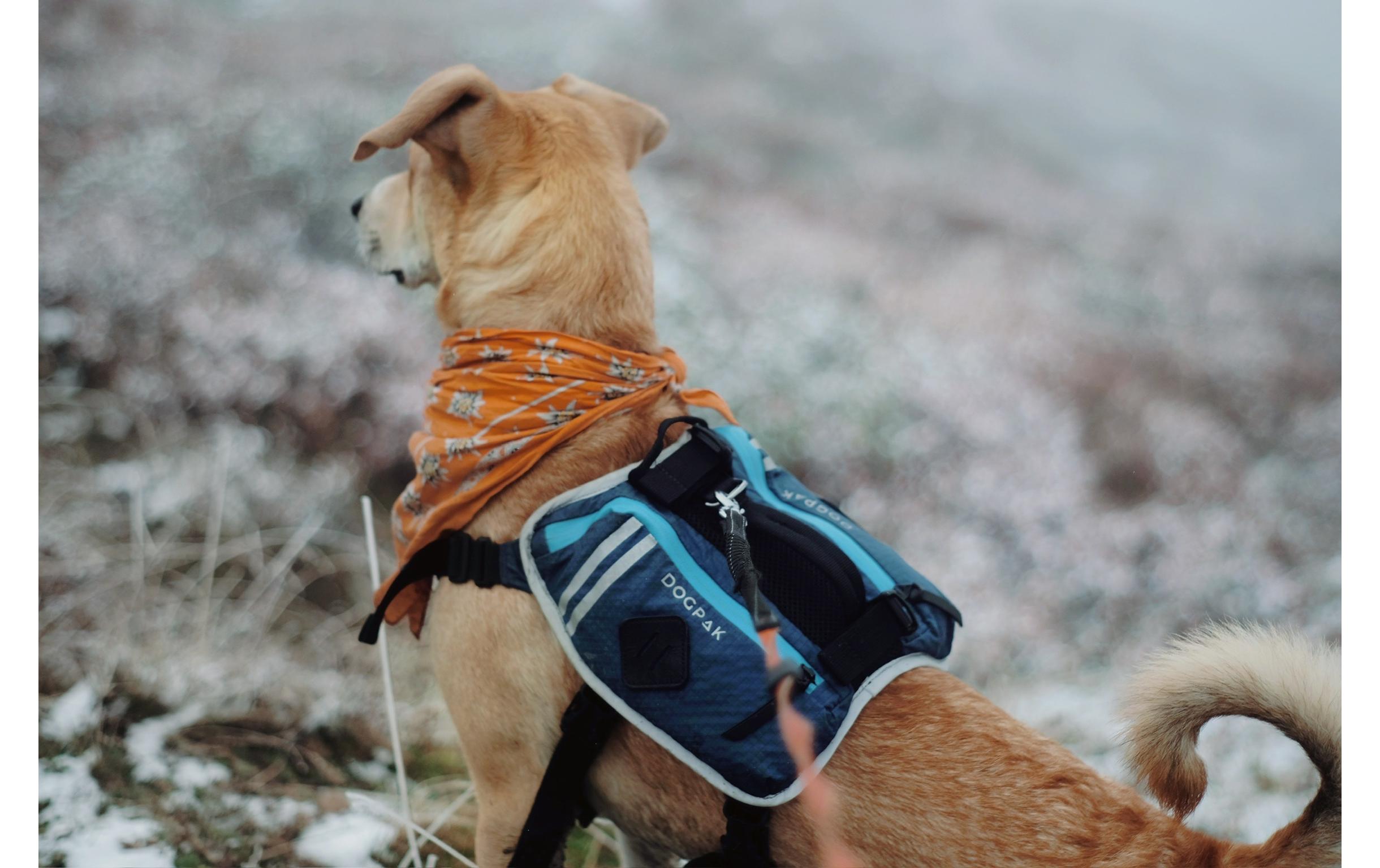 DOGPAK Moab Lite Hunderucksack L