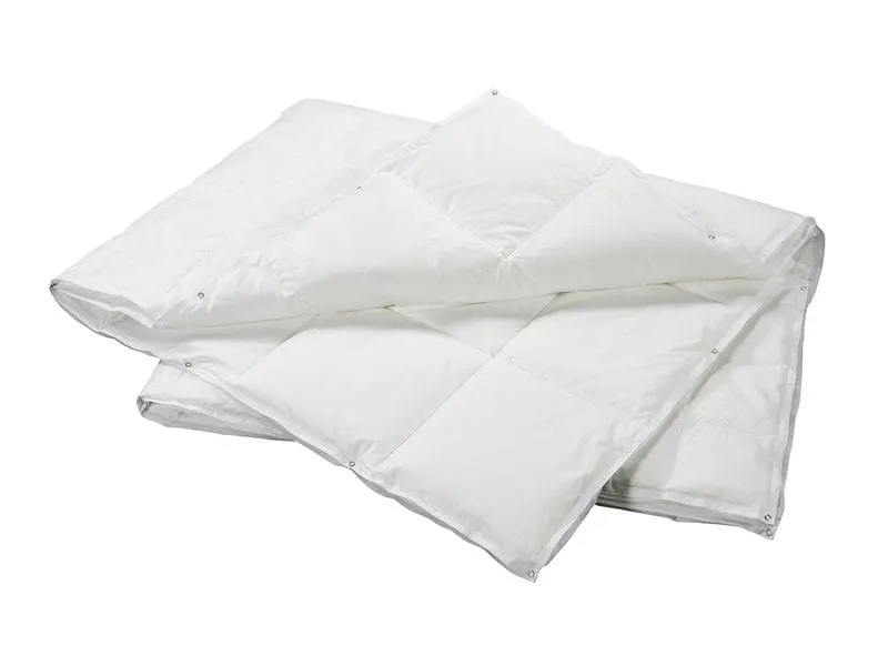 Billerbeck Duvet Recycled Goose 4-Saisons 200 x 210 cm