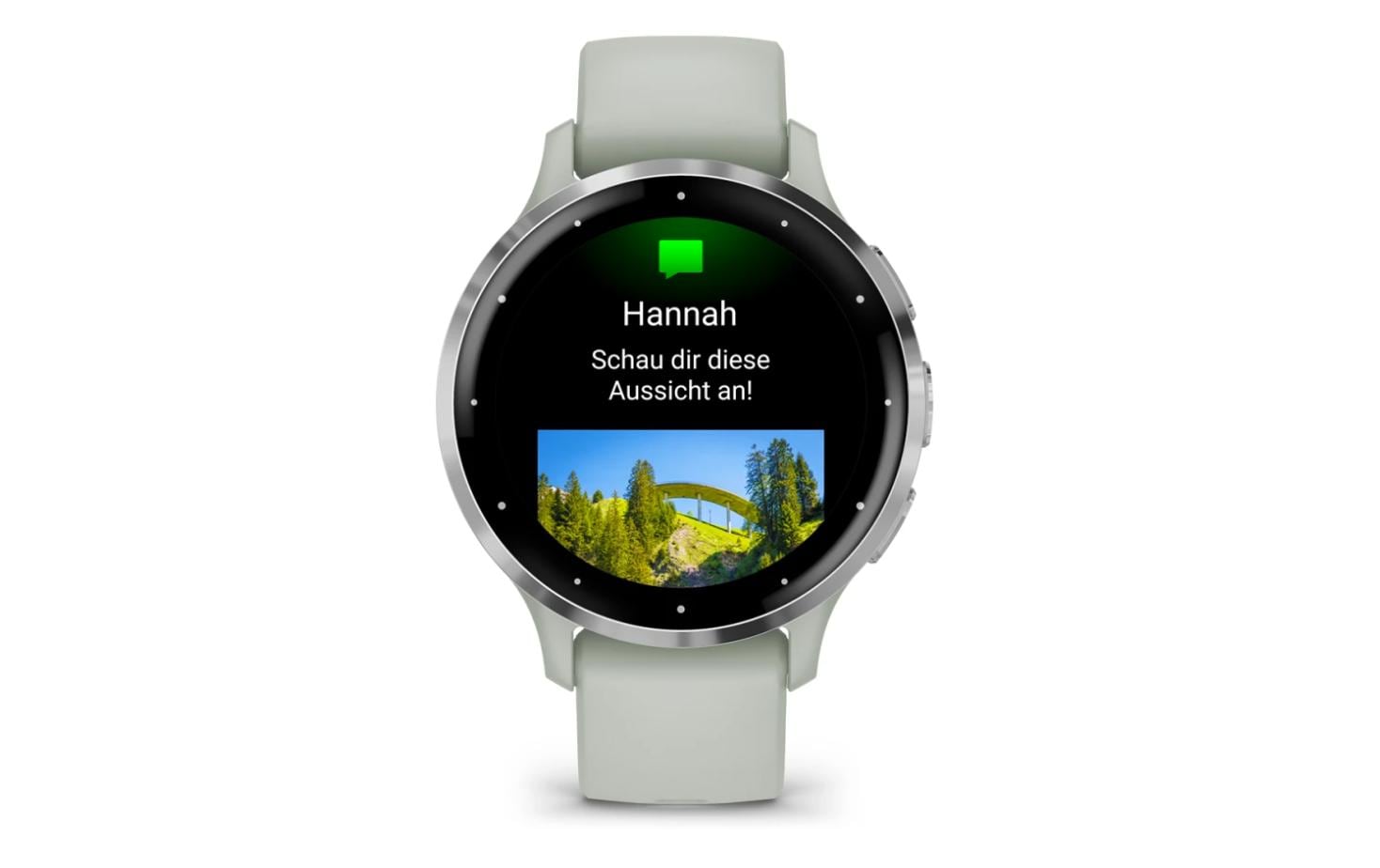 GARMIN Sportuhr Venu 3S Salbeigrau / Silber