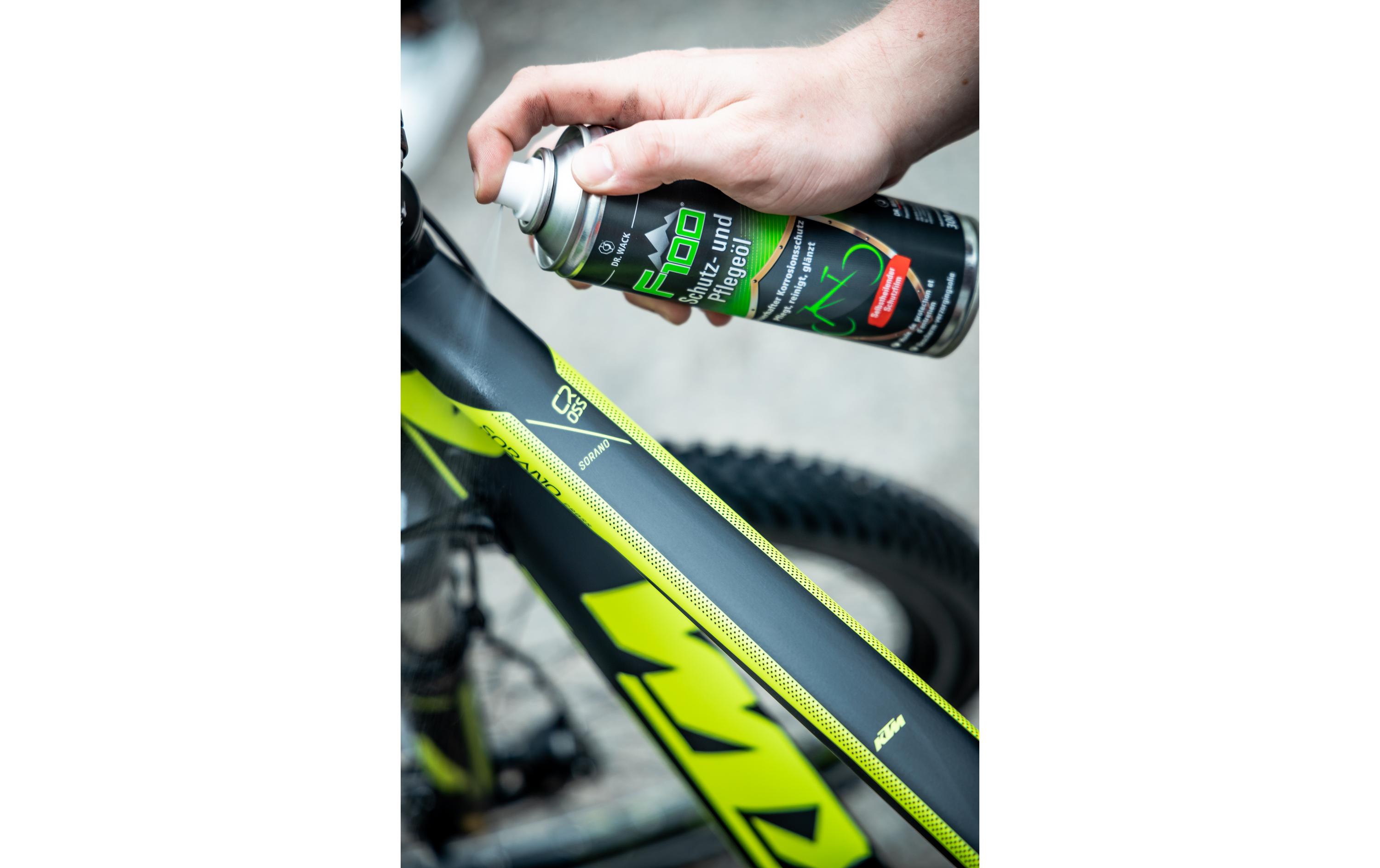 Dr.Wack Schutz- und Pflegeöl 300 ml Dr.Wack Schutz- und Pflegeöl 300 ml