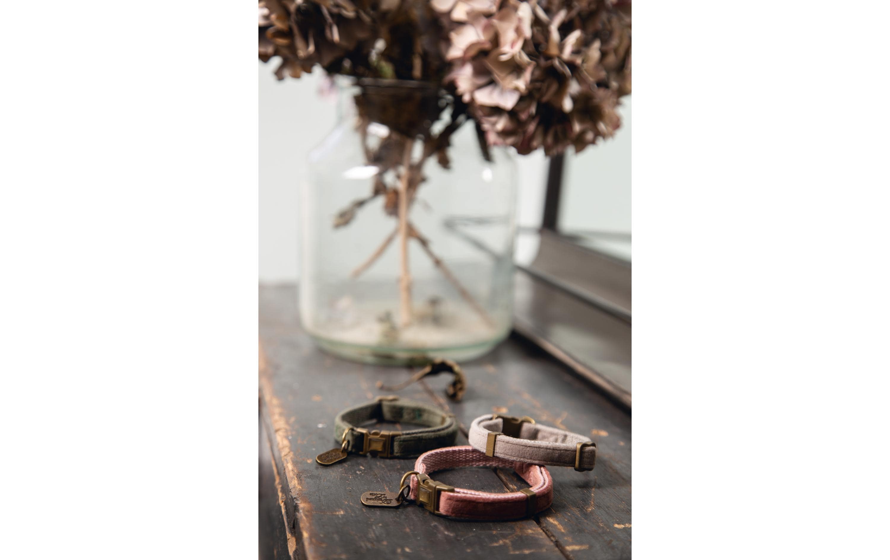 Designed by Lotte Katzenhalsband Velura Rosa