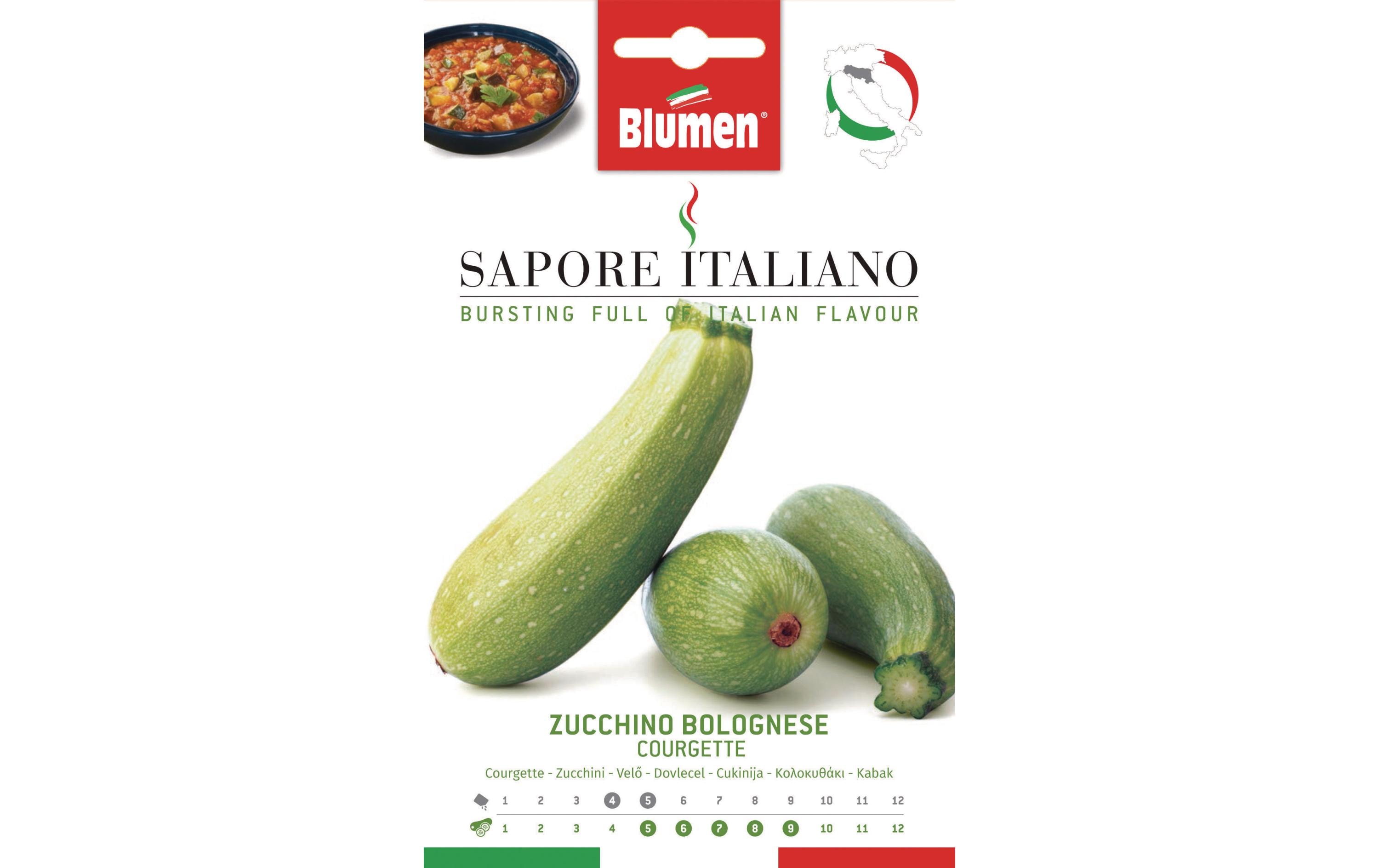 Blumen Samen Zucchini Bolognese