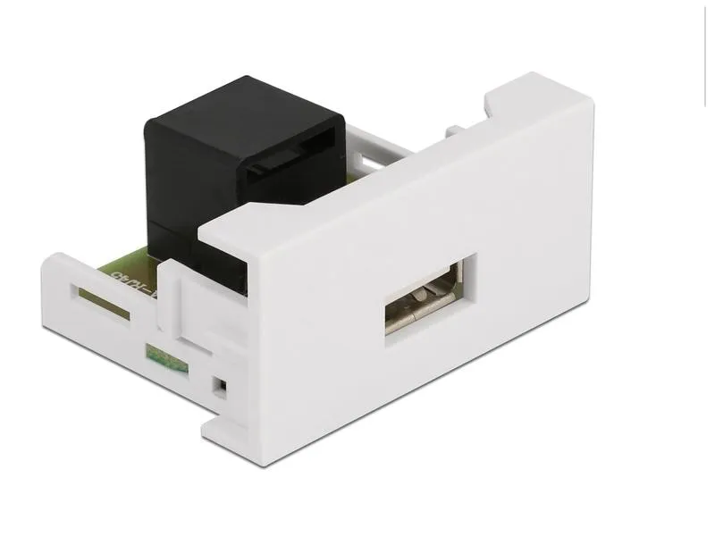 Delock Easy 45 Modul 22.5 x 45 mm RJ45 - USB-A Buchse