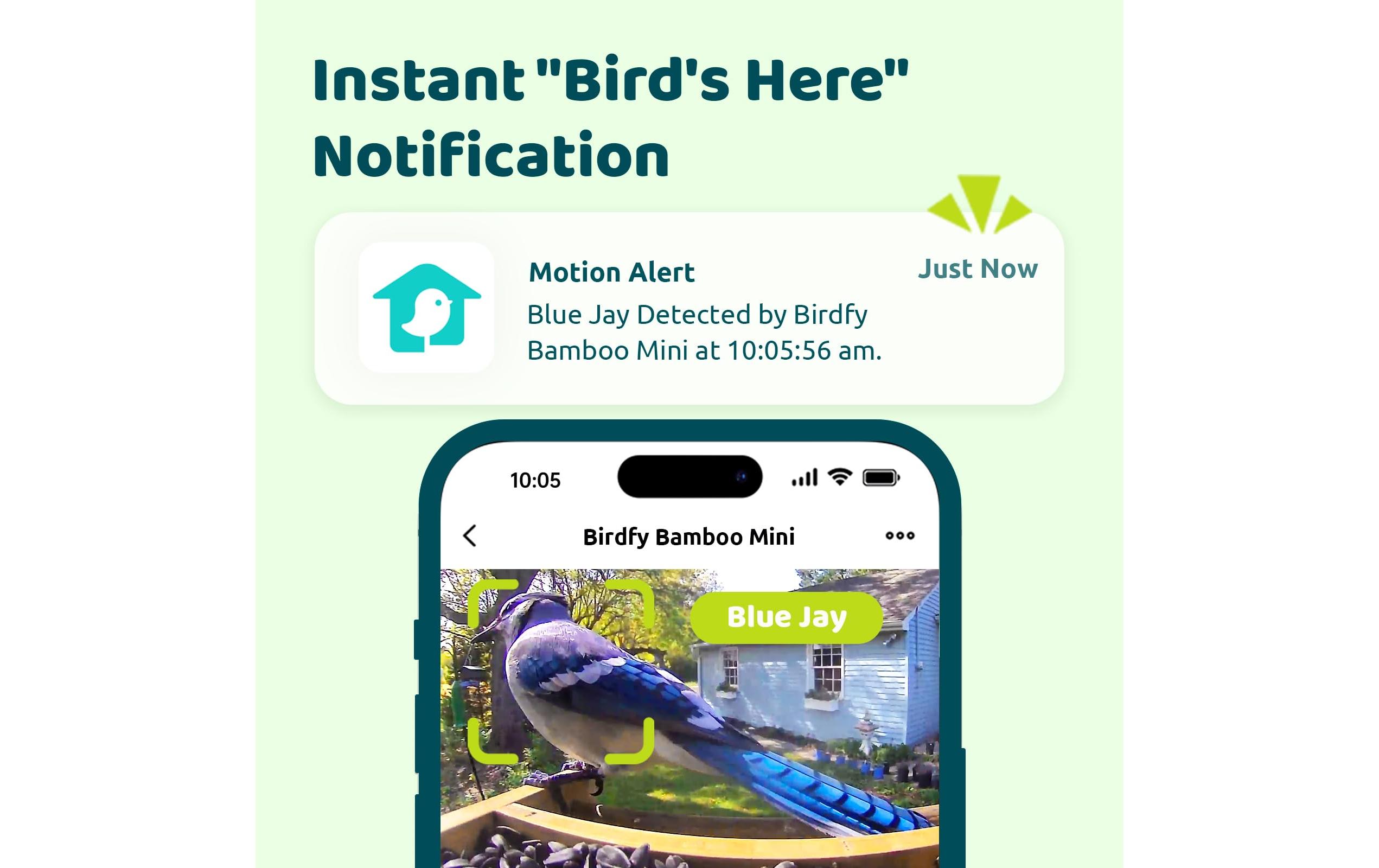 Birdfy Futterspender FSC Bambus Mini Solar