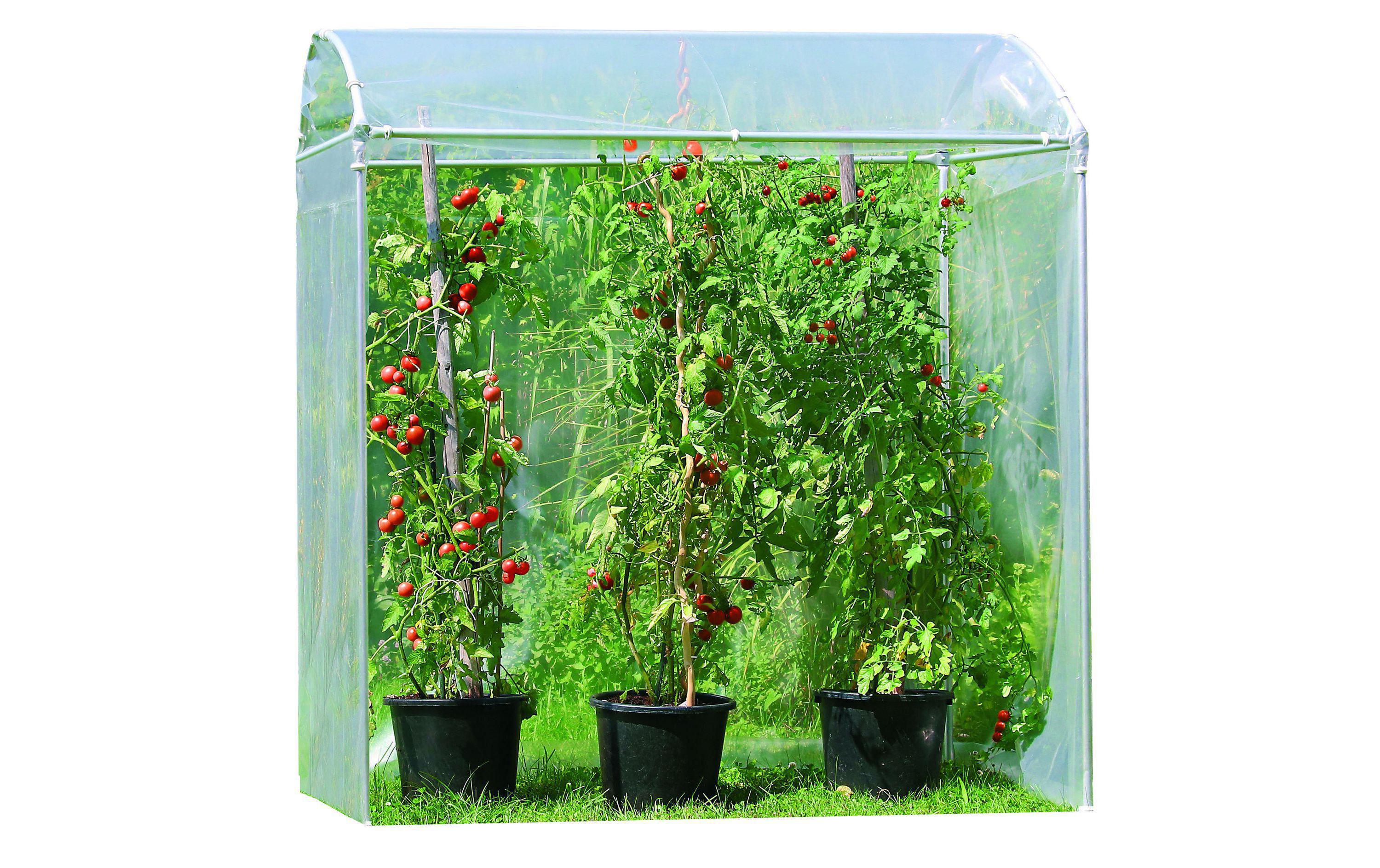 Windhager Tomatenhaus AluProfi Windhager Tomatenhaus AluProfi