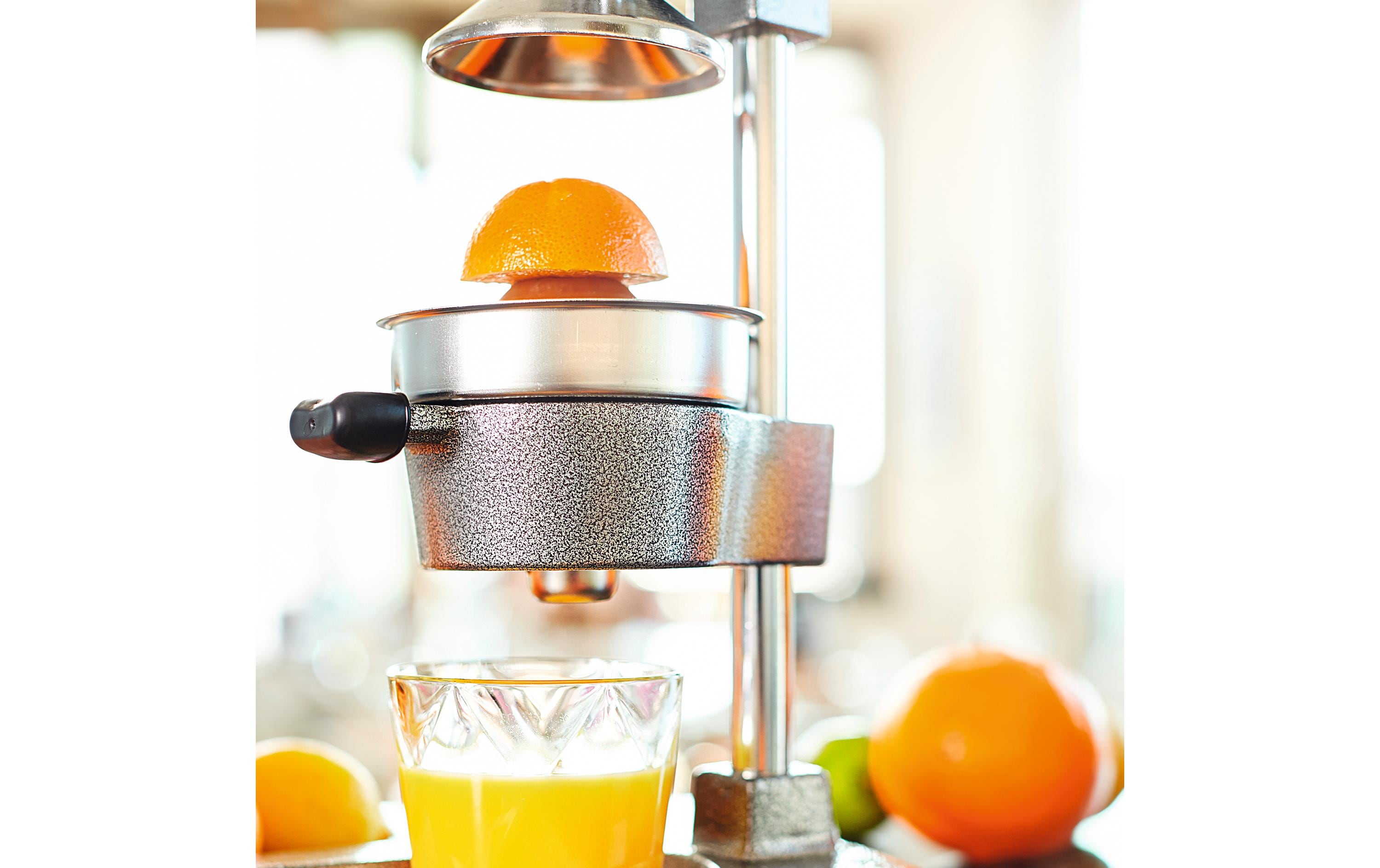 Lumaland Saftpresse Manuell Grau