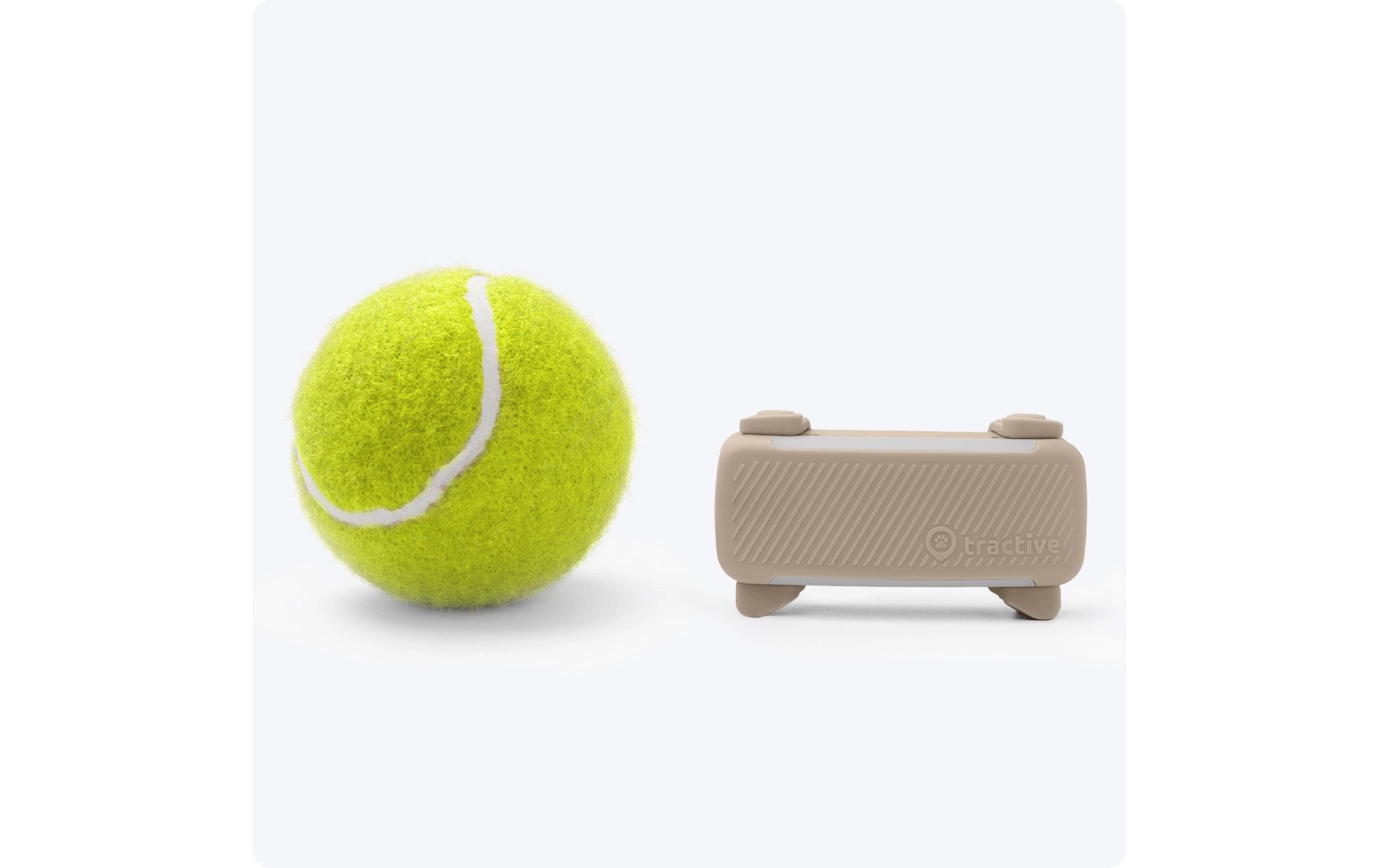 tractive GPS-Tracker DOG 6 Braun