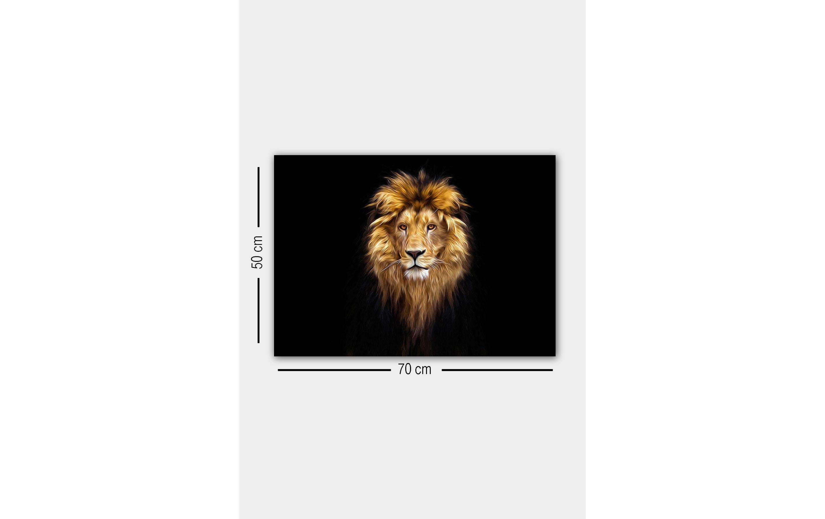 Wallxpert Bild Lion 50 x 70 cm