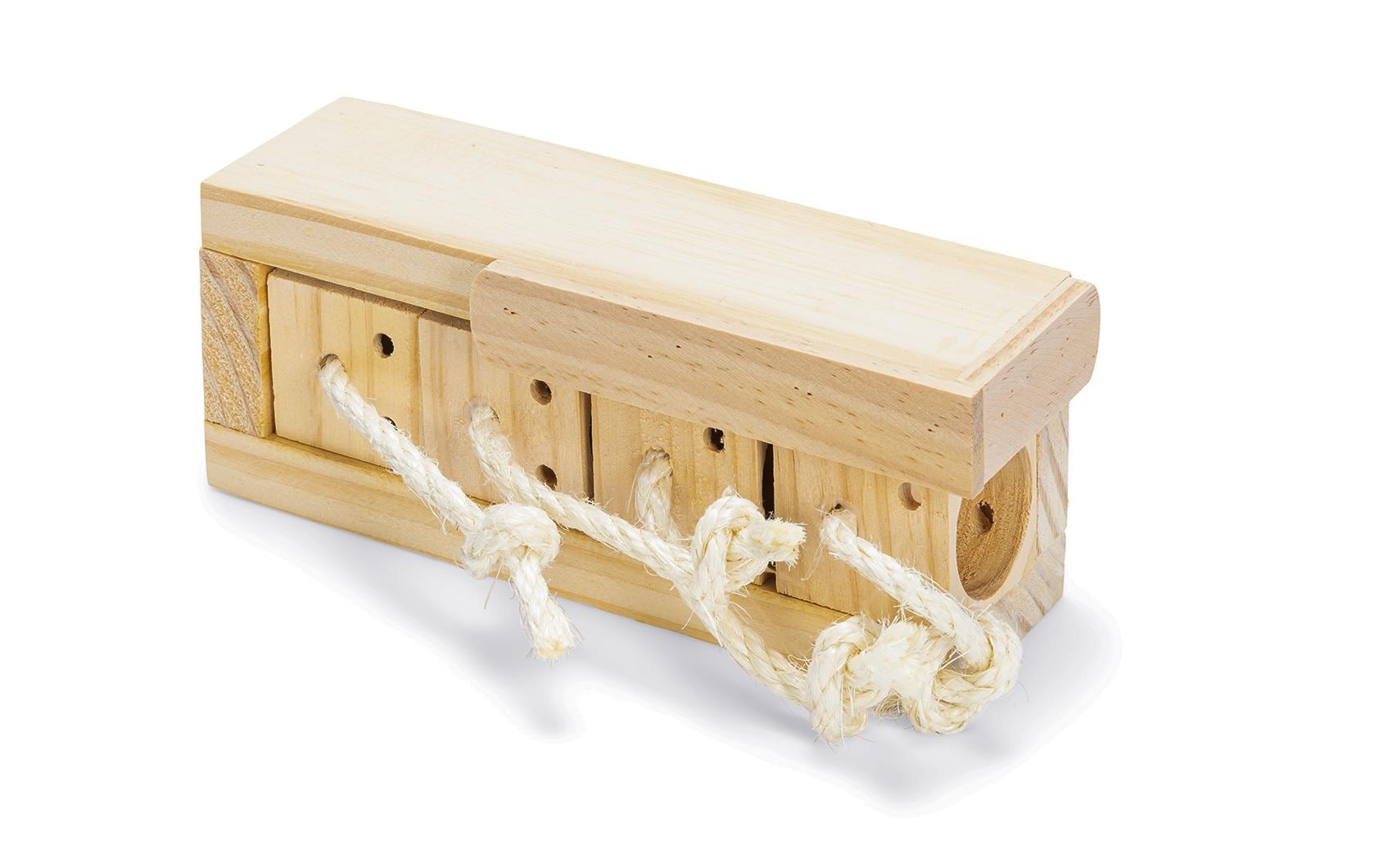 Karlie Nager Brain Train 21.5 x 8.5 x 7.5 cm