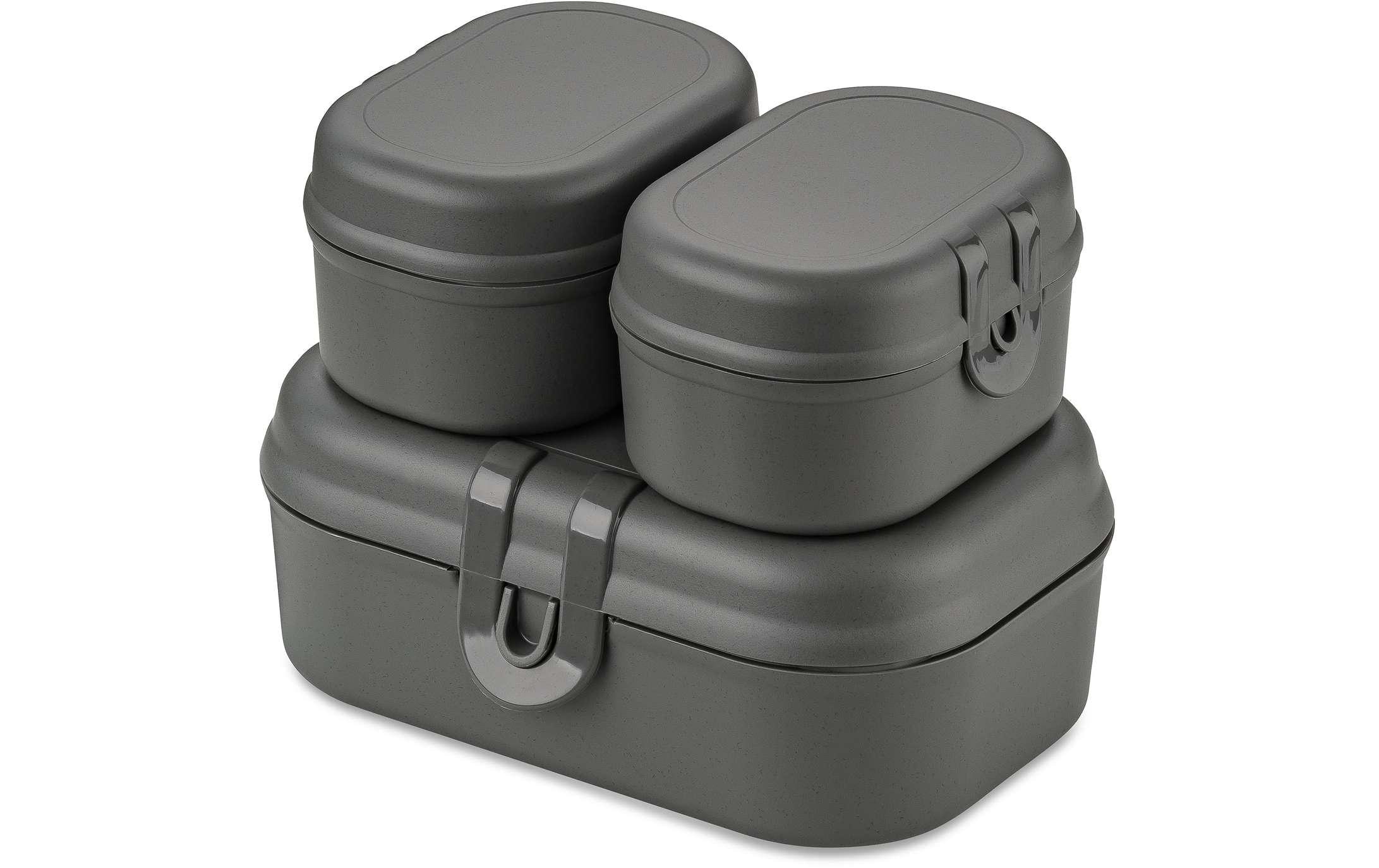 Koziol Lunchbox Pascal Ready Mini Schwarz/Grau