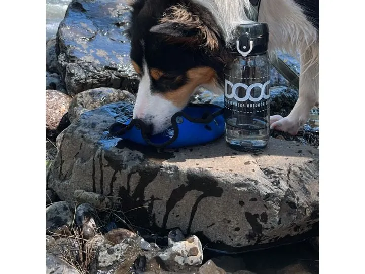Doog 3-in-1 Water Bottle Blau Doog 3-in-1 Water Bottle Blau