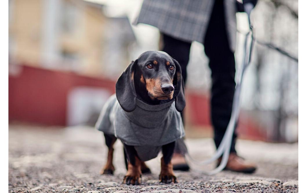 HURTTA Wintermantel Expedition Parka II Grösse: 25, Grau